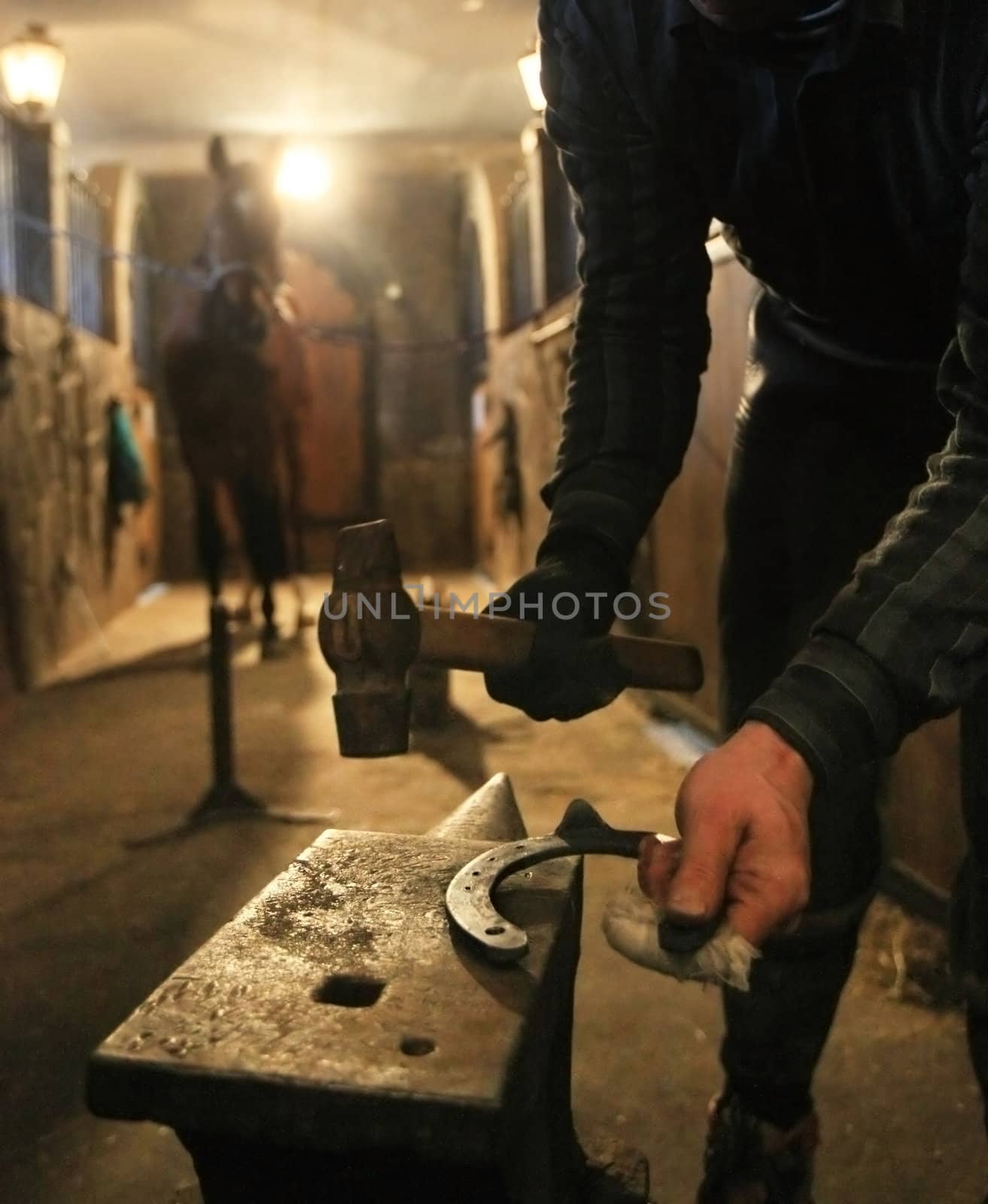 farrier prepares to attach horseshoe to hoof