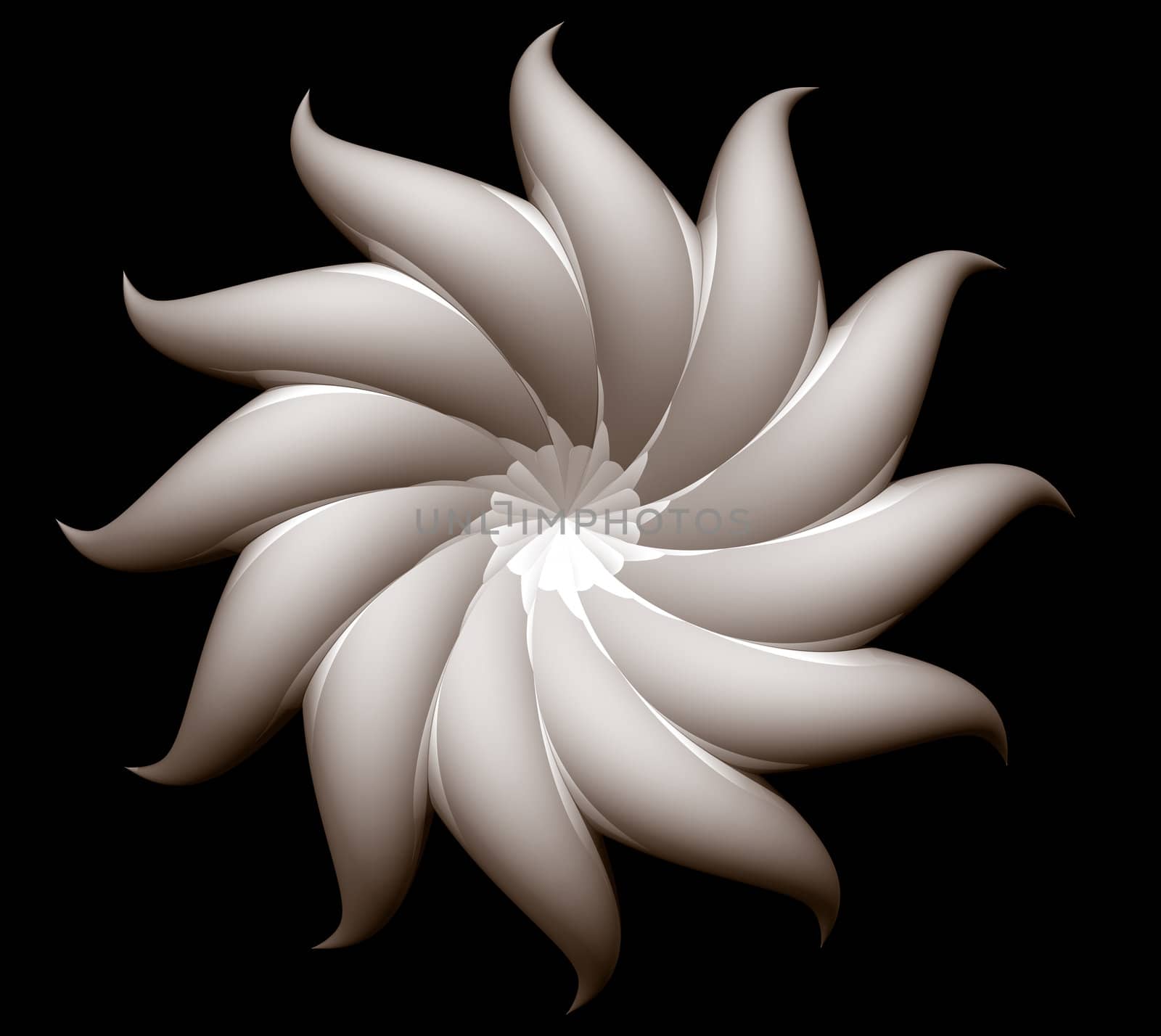 abstract flower on black background - 3d illustration