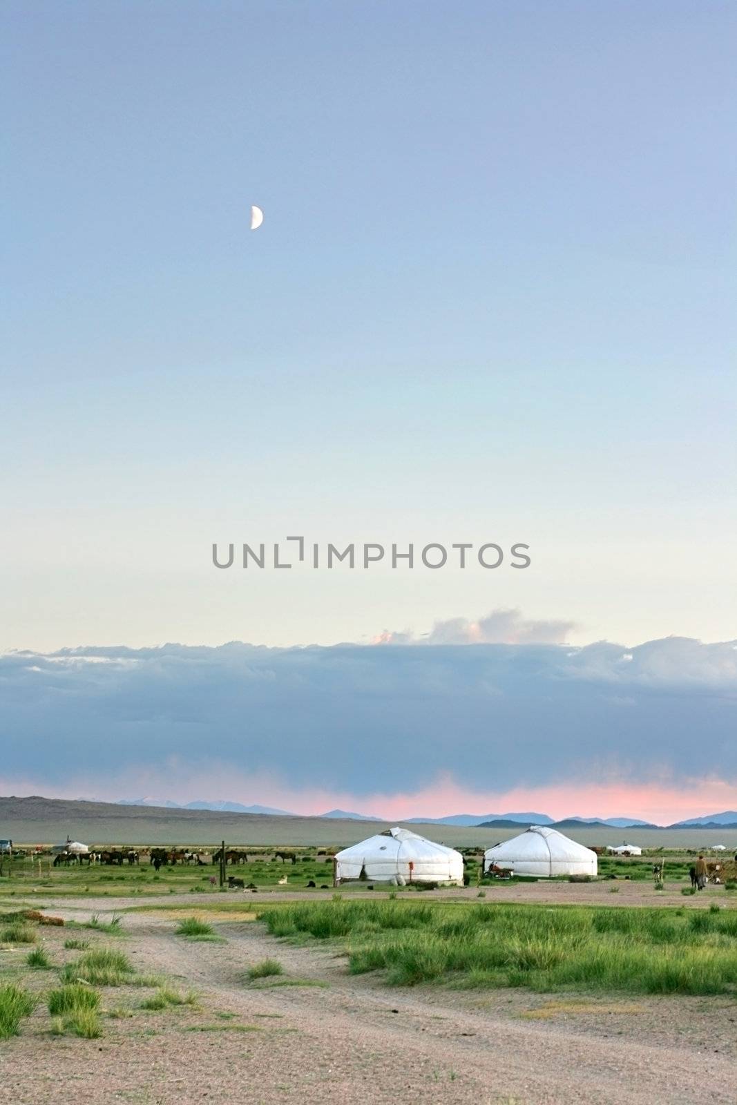 Mongolian landscape in the sunset