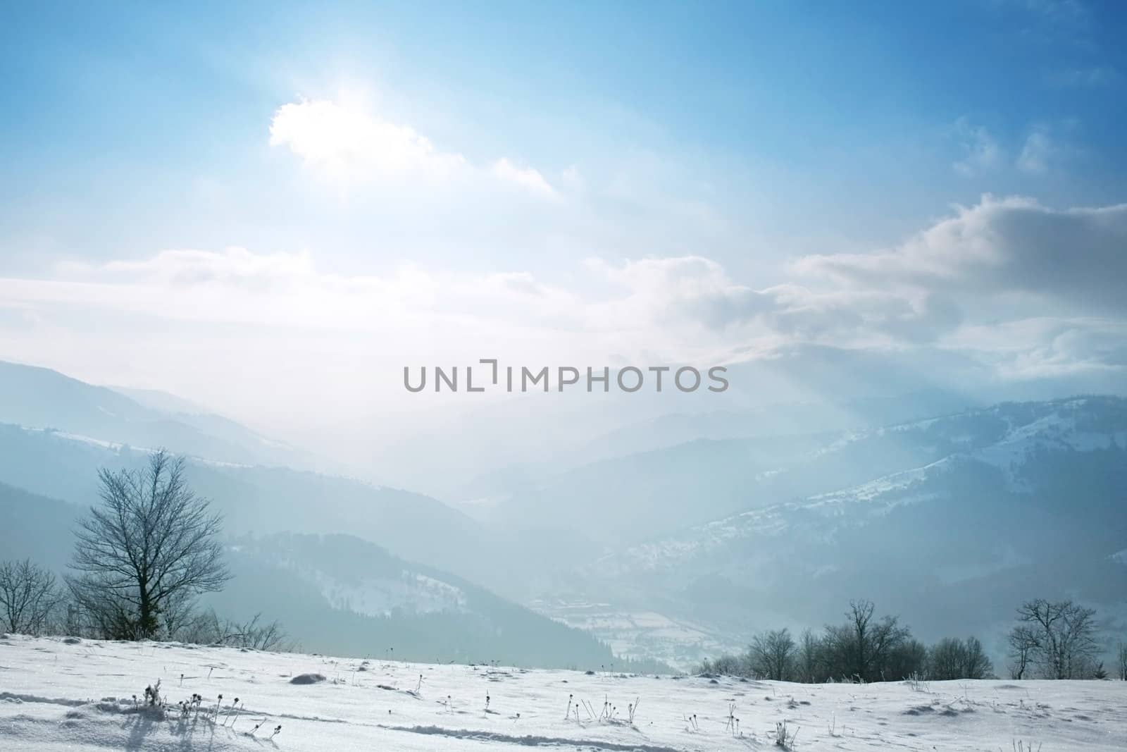 winter landscape with a clouds and a snow-covered trees