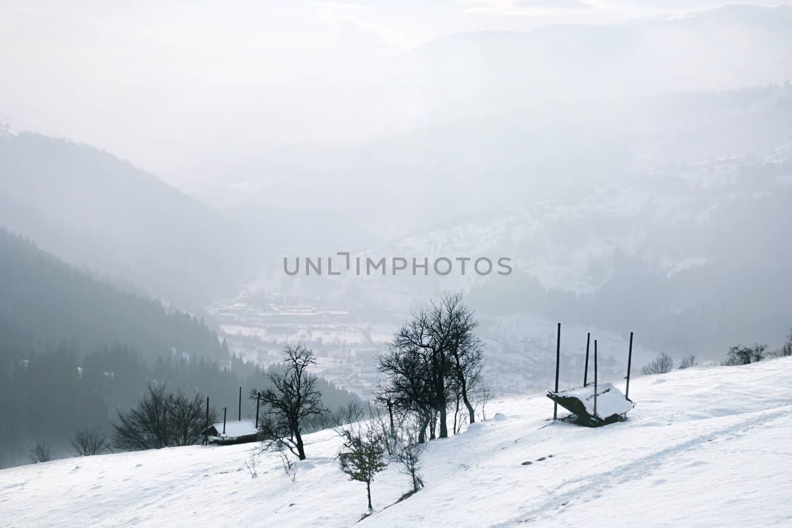 winter landscape with a clouds and a snow-covered trees