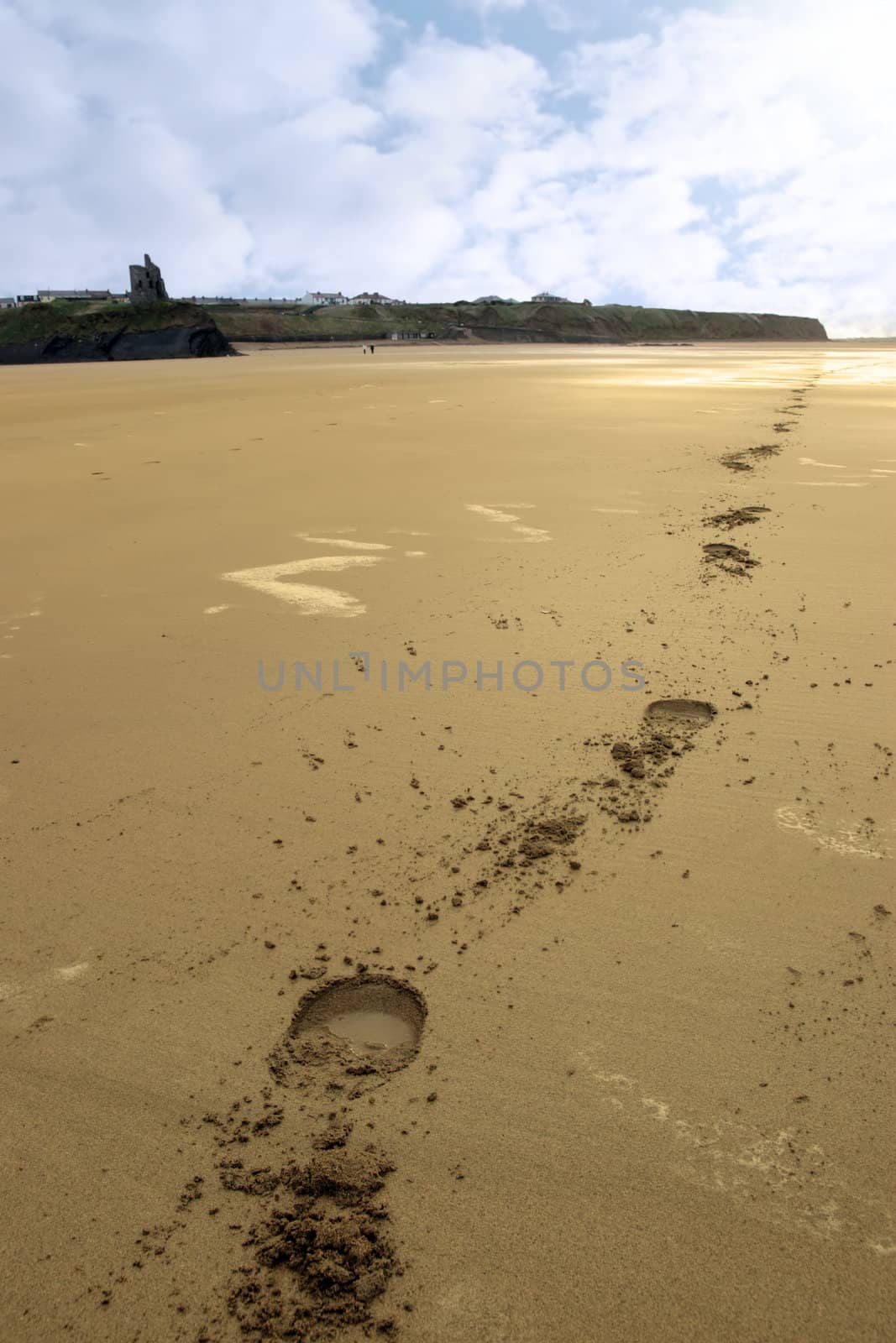 hoofprints trailing into the horizon on ballybunion beach on irelands west coast