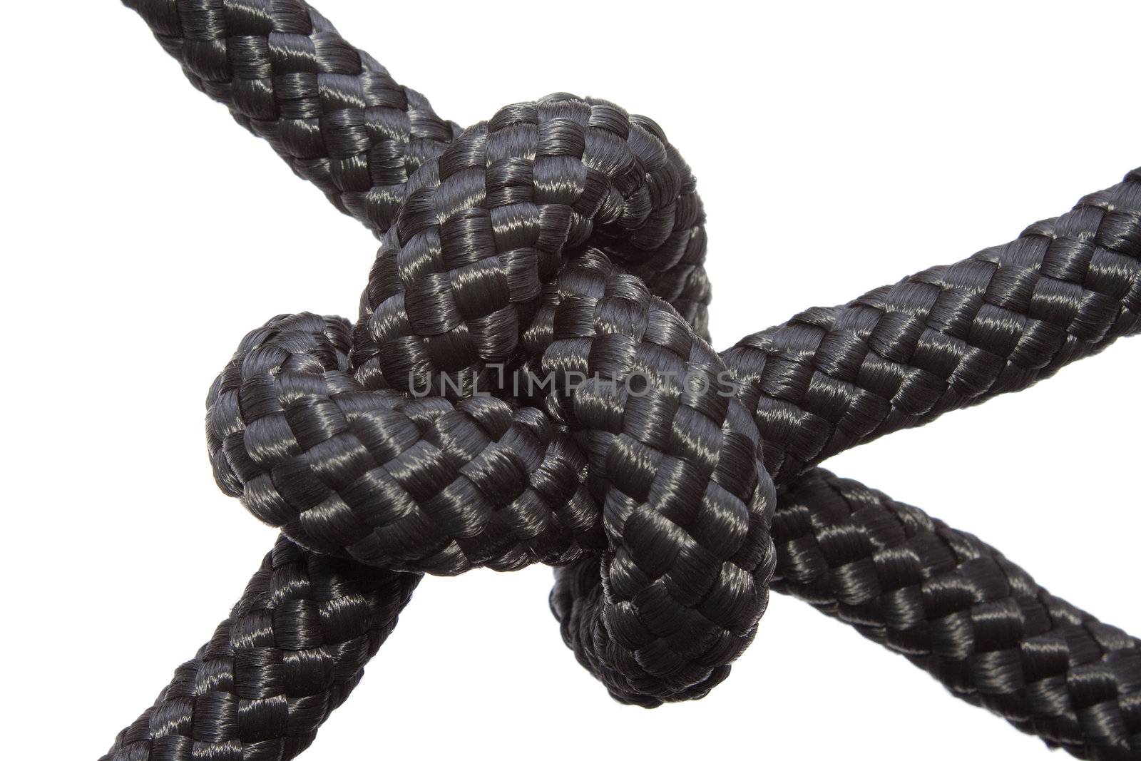 Bowline Knot isolated by sergeyoch