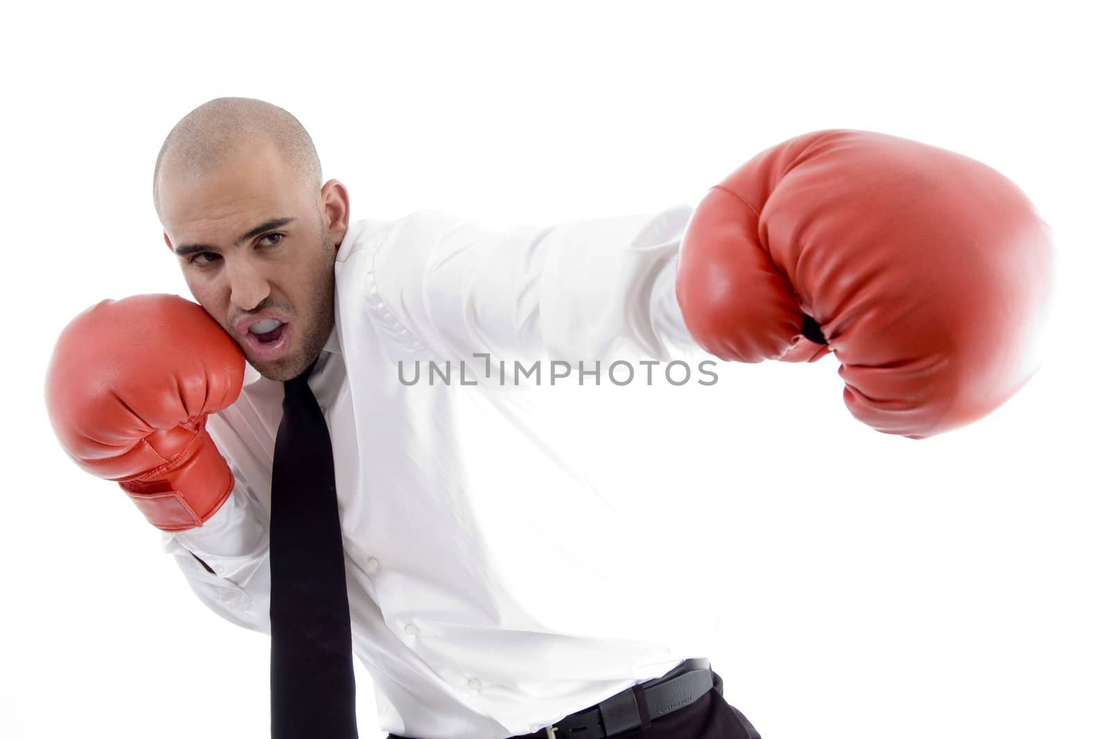 businessman in action wearing boxing gloves on an isolated background