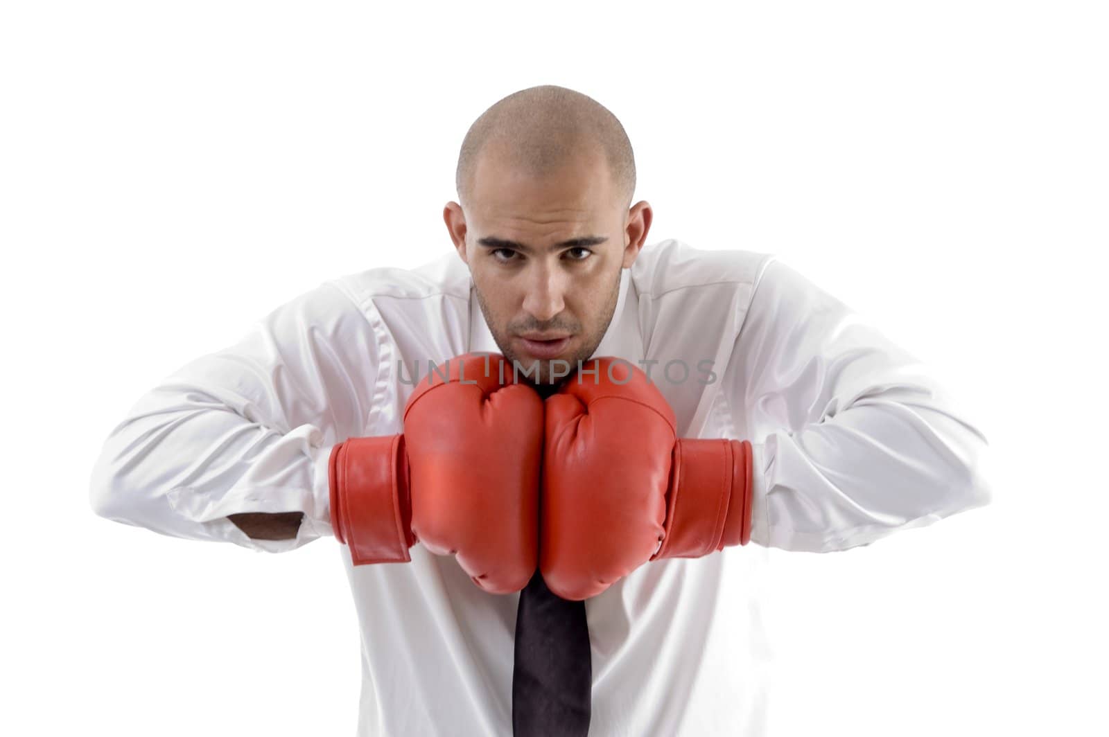 businessman posing with boxing gloves on an isolated white background