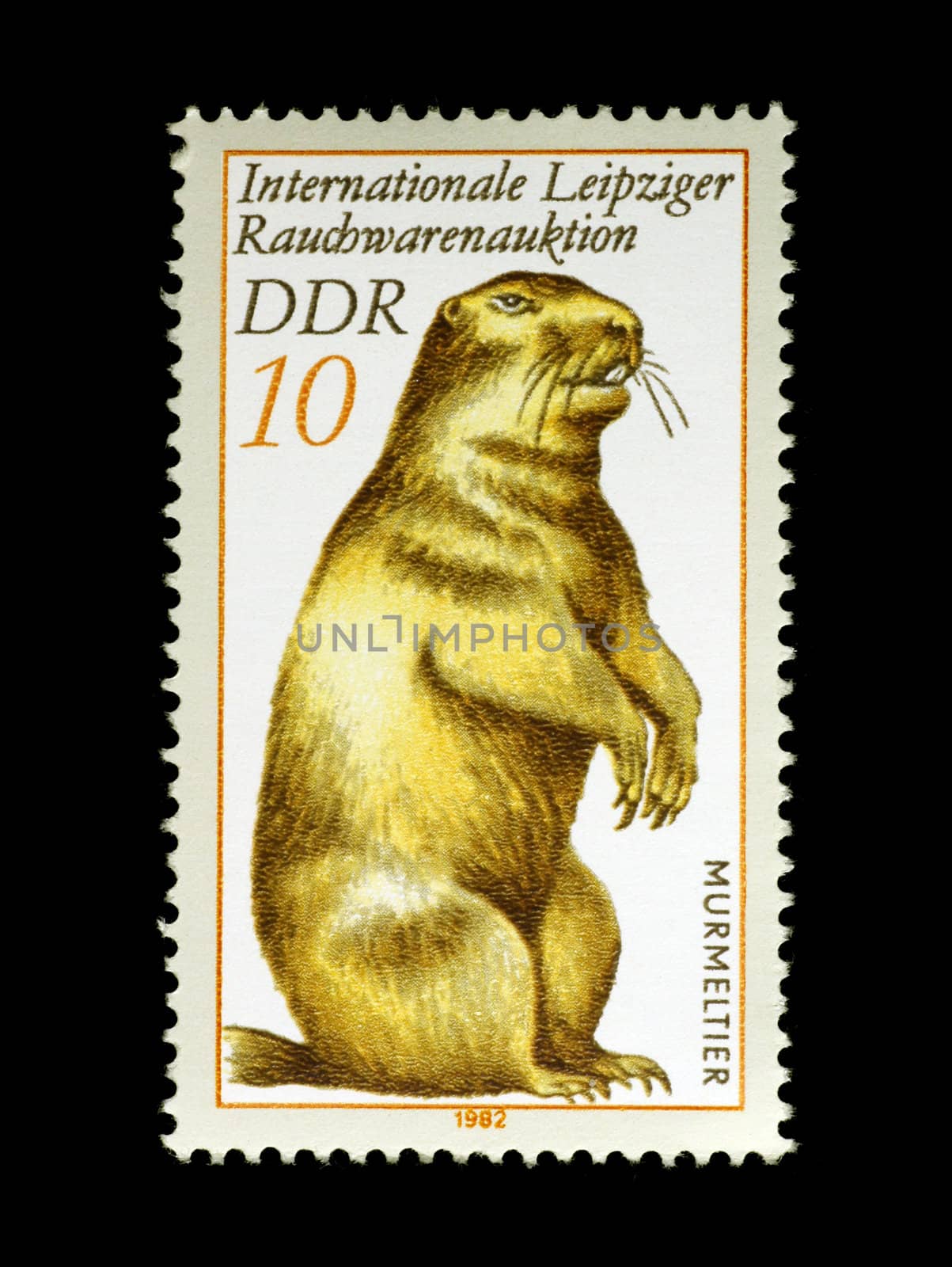 Marmot on Stamp from East Germany by Georgios