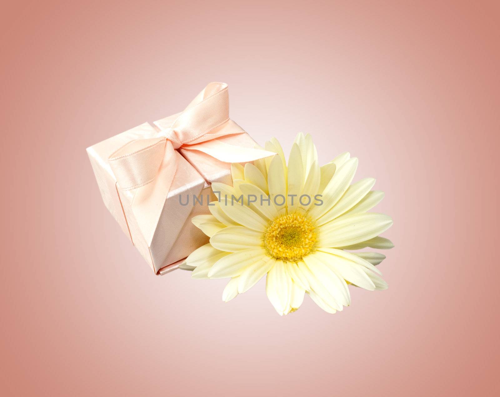 material to make favors for weddings, communions and baptisms
