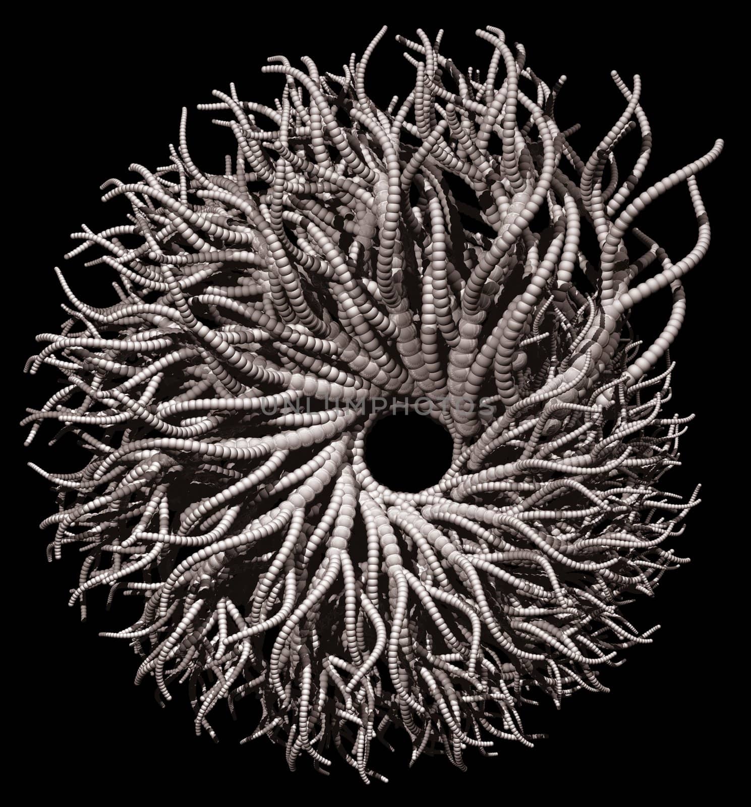 Abstract organic form on black background - 3d illustration