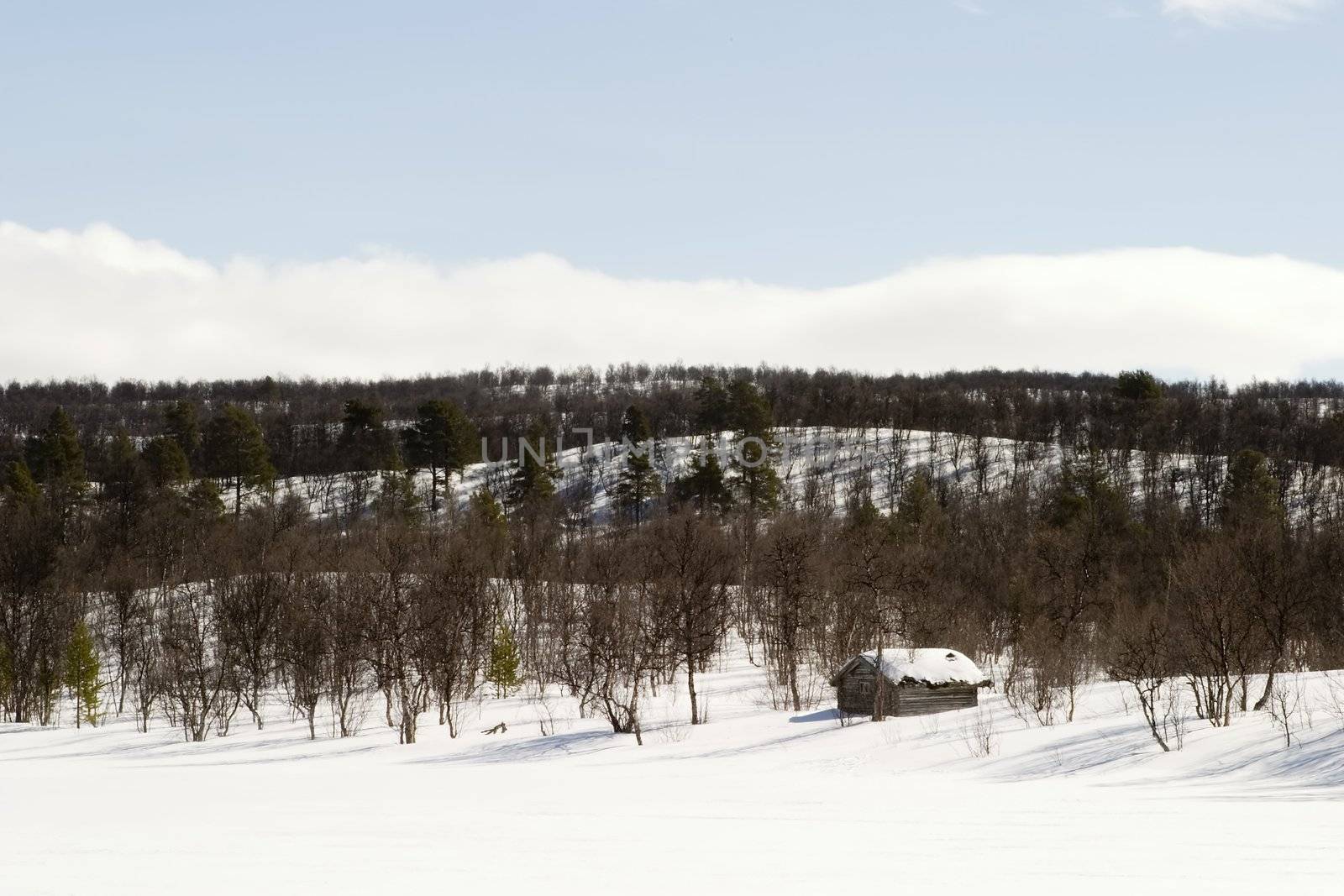 A cabin on a snow filled landscape.