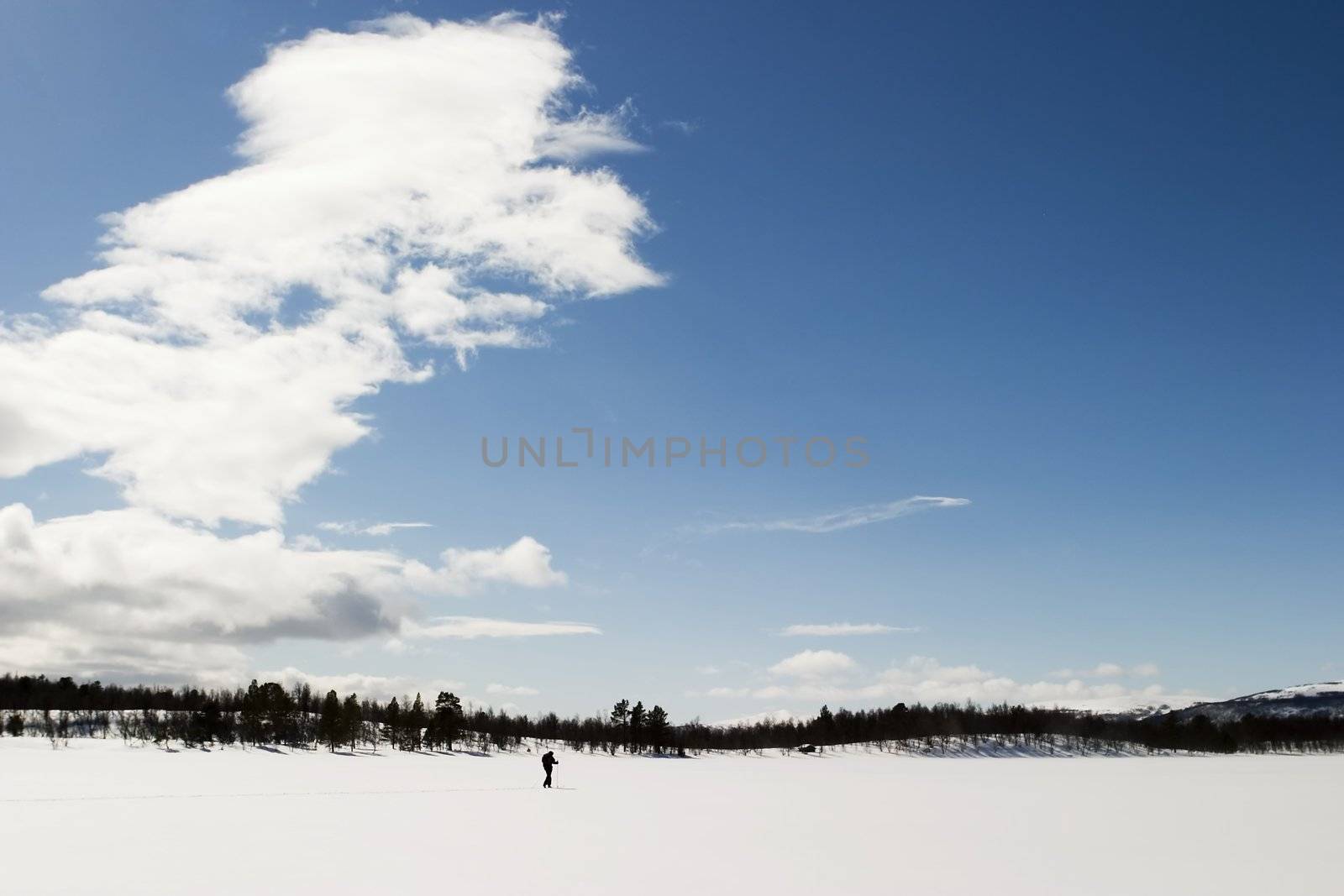 A skier on a wintery snow filled landscape.