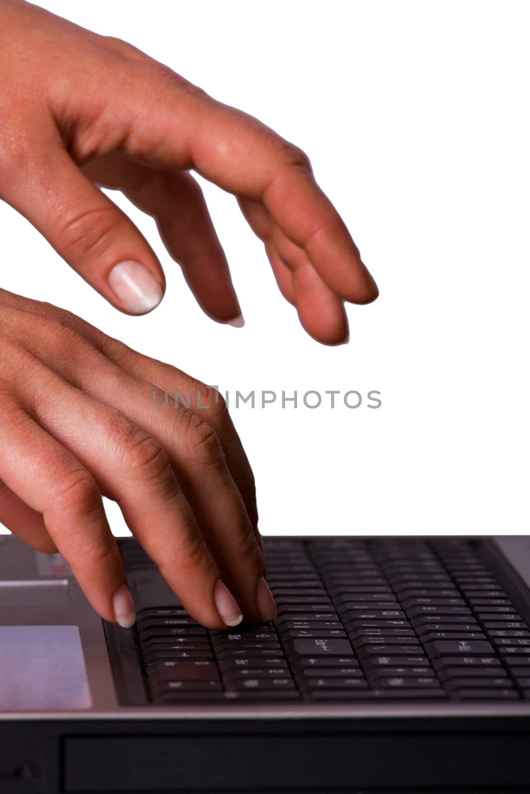 Woman working on laptop keyboard by grigorenko