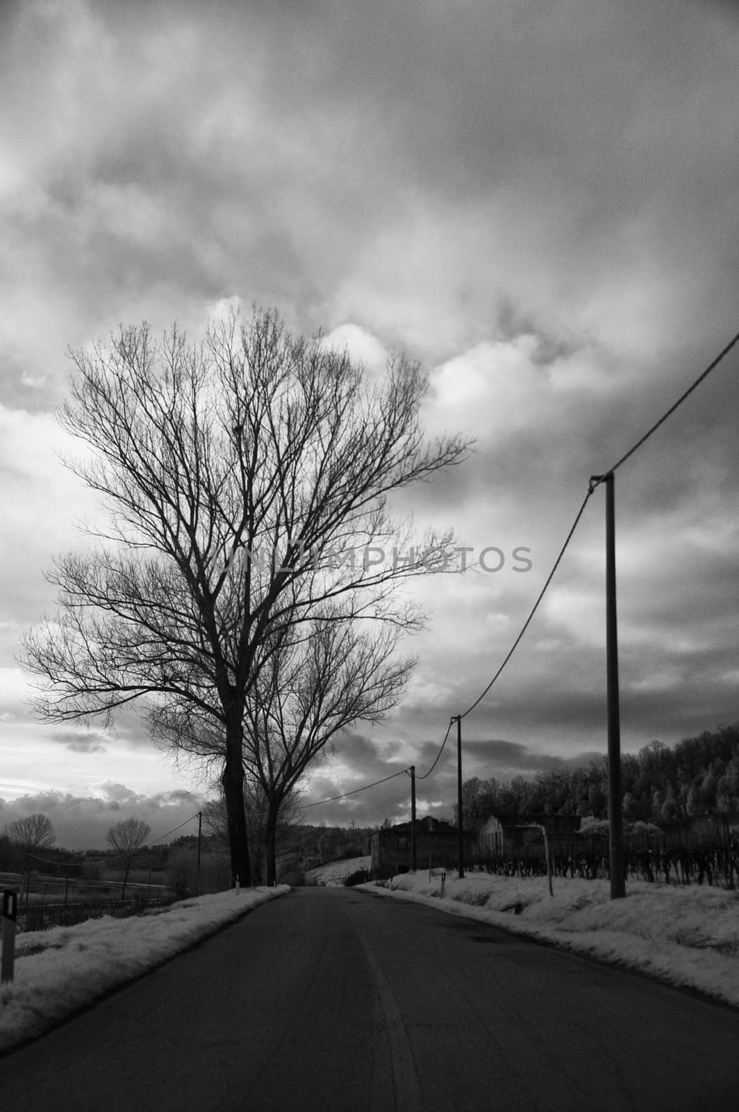Countryside in Tuscany, Italy, Infrared Black and White Picture