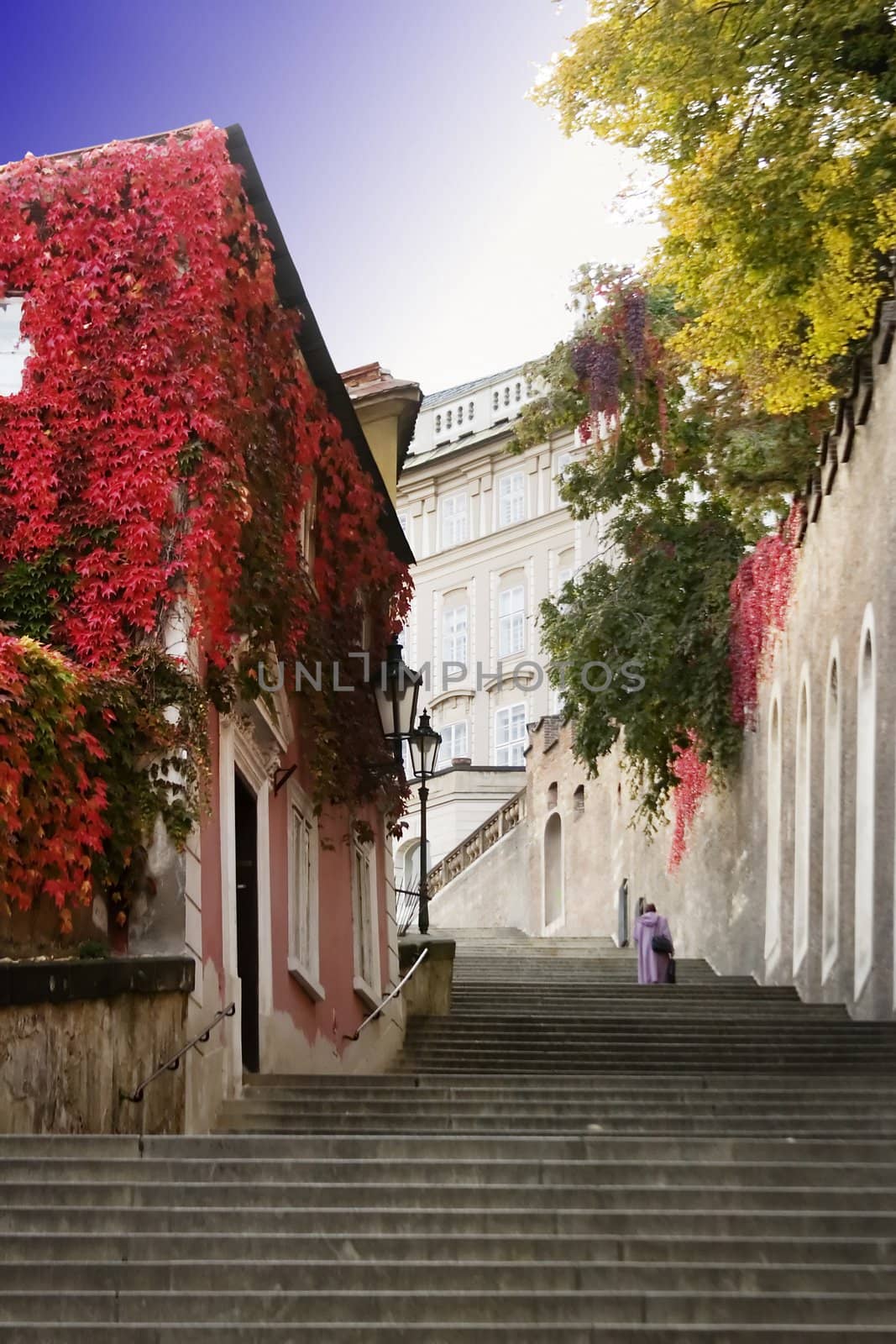 A small skinny street detail in the old town area of Prague, Czech Republic.