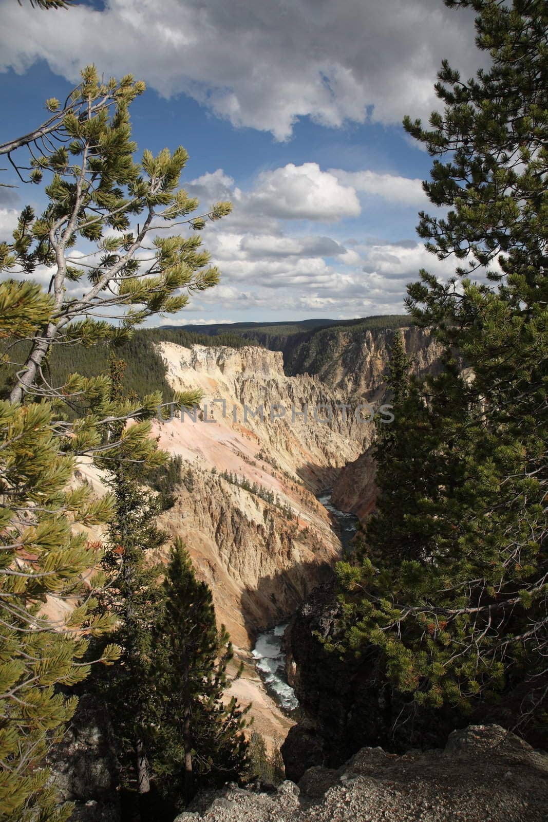 Grand Canyon of Yellowstone by Ffooter