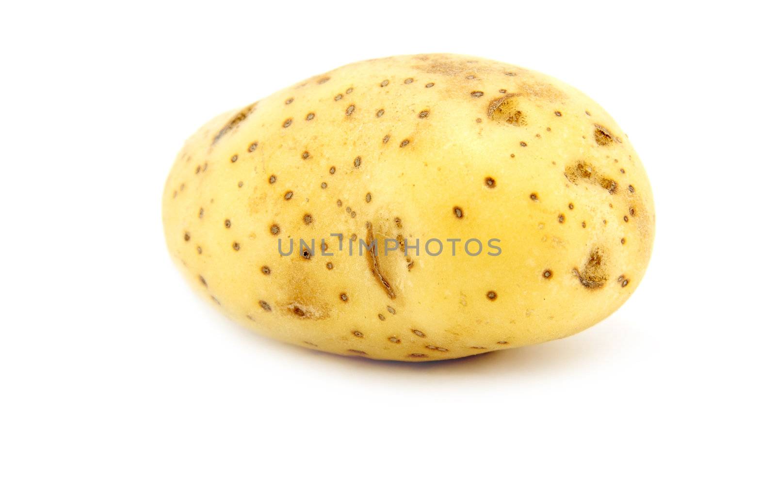 Whole ripe Potato isolated on a white background