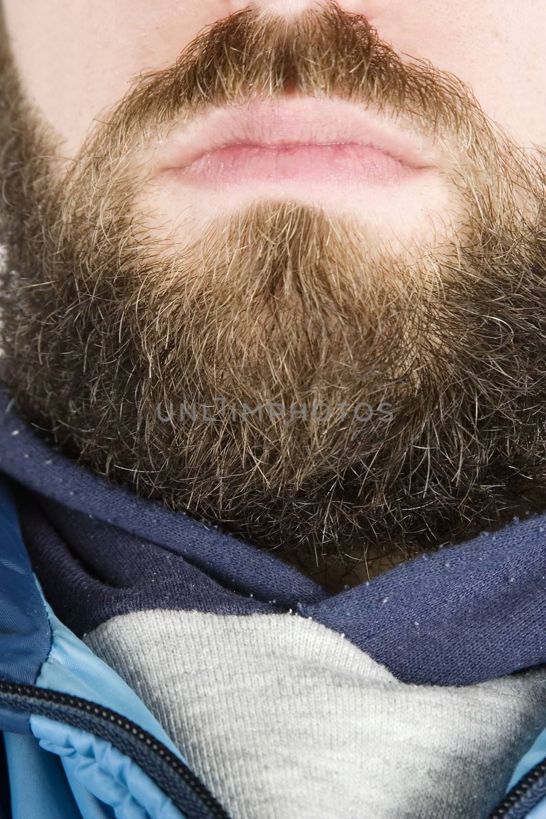 A young male with a full beard, detail image.