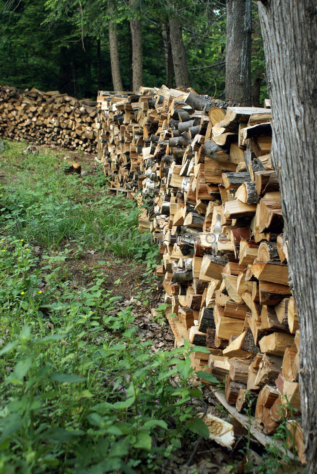 A large stockpile of firewood for heating in the winter months.