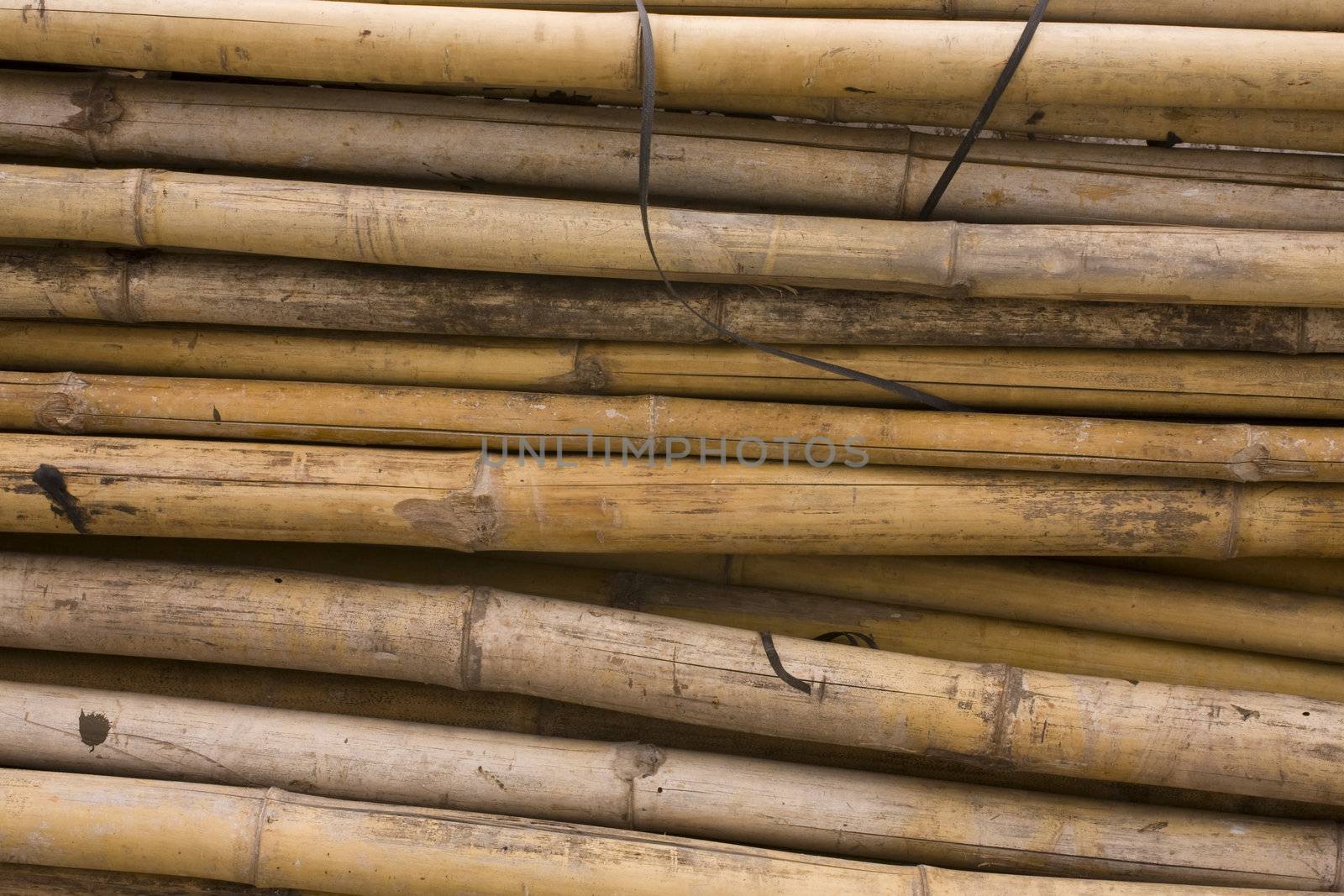 bamboo background by cozyta