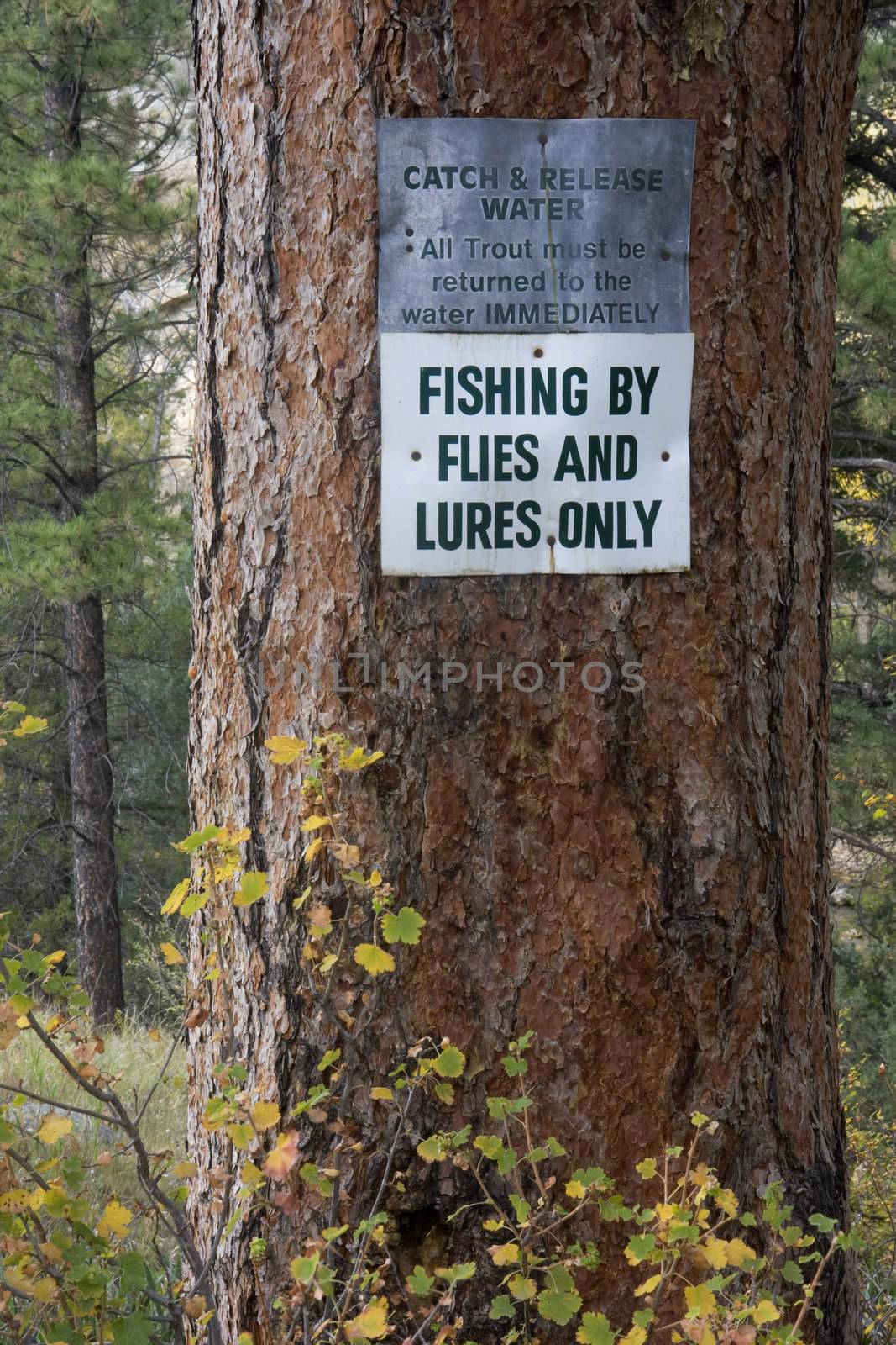 catch and release water, fishing by flies and lures only - two warning signs on a trunk of pine tree, Poudre River, Colorado