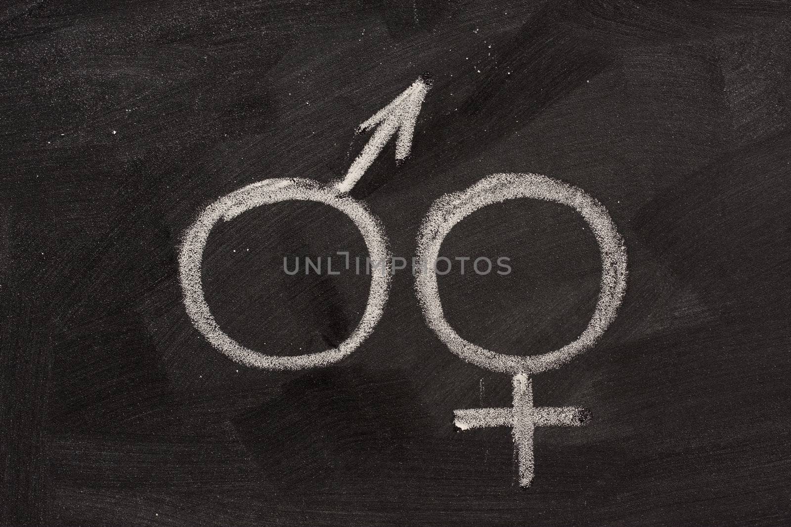 male and female gender symbols, mars and venus, drawn with white chlak on blackboard