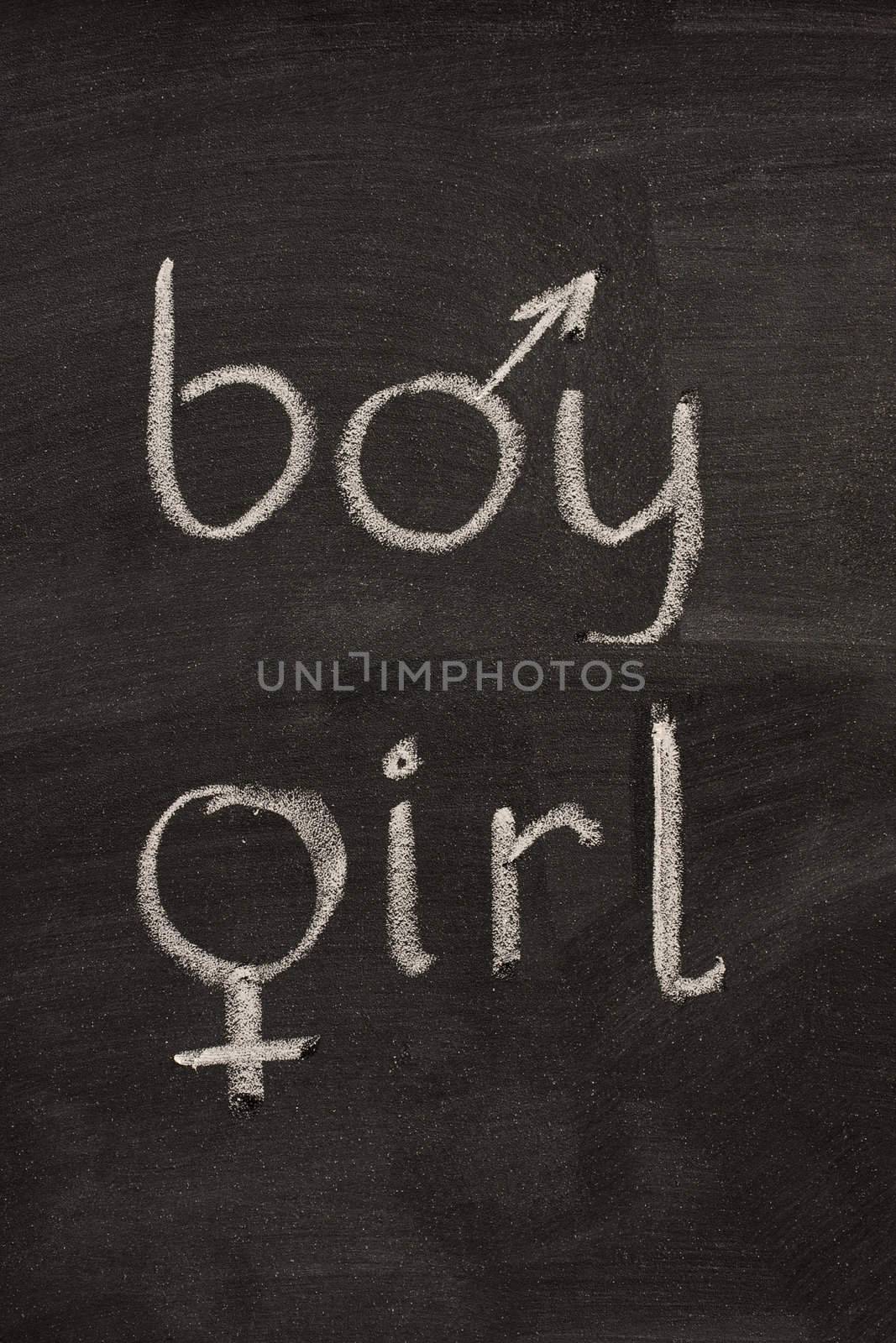 boy and girl  words with gender symbols on blackboard by PixelsAway