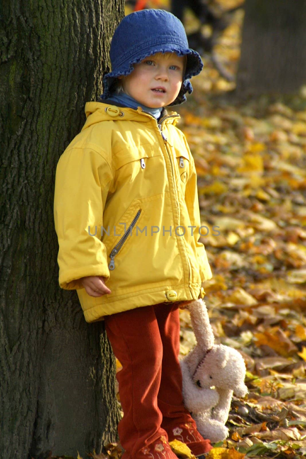 Little girl is standing in a park in autumn