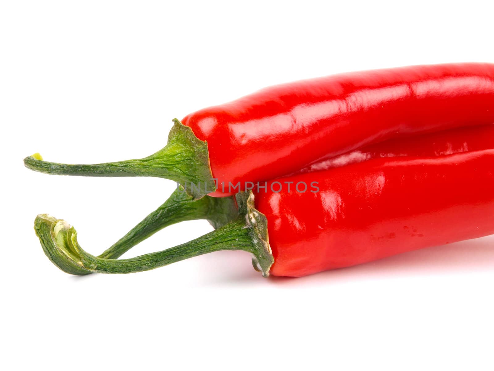 Red chili pepper. Close up. White background  by dotweb