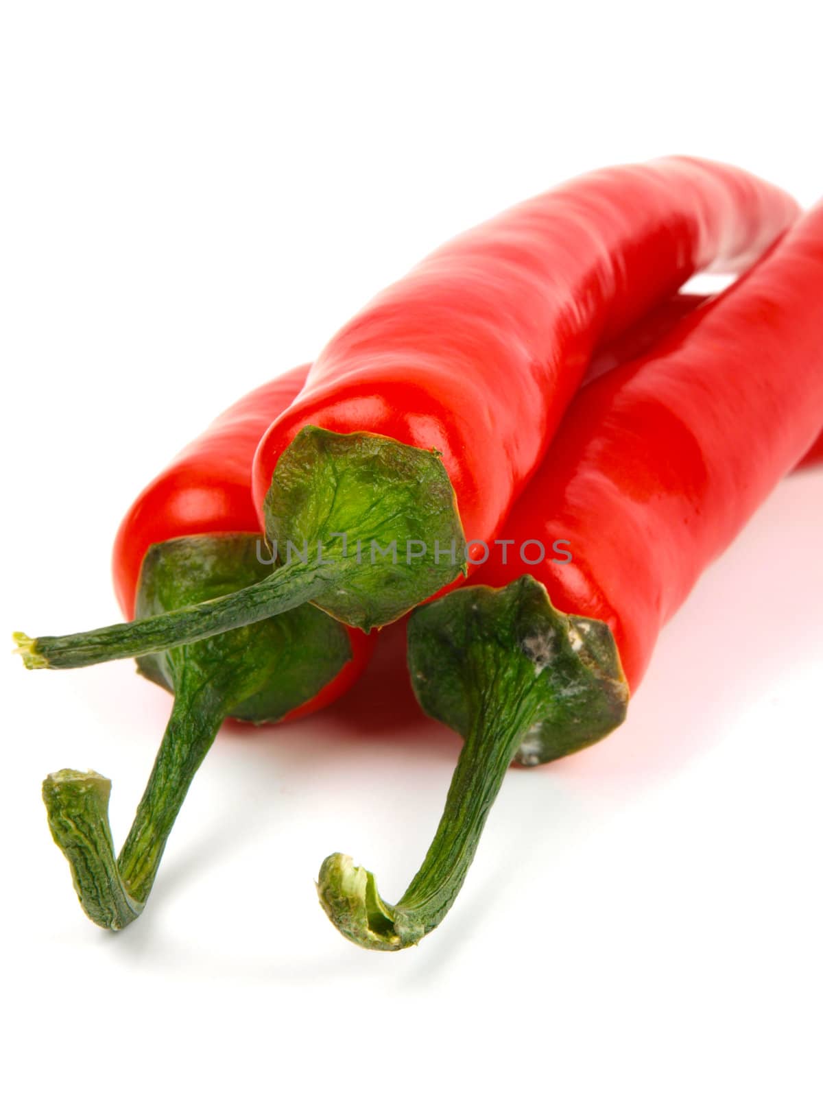 Red chili pepper. Close up. White background
