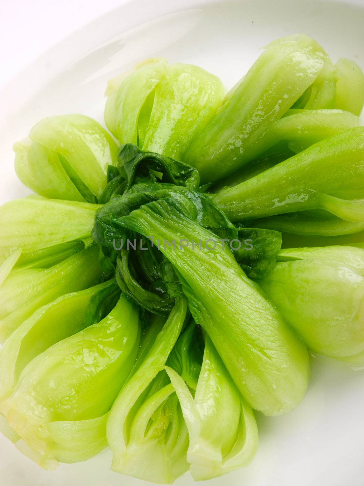 spinach cabbage  by dotweb