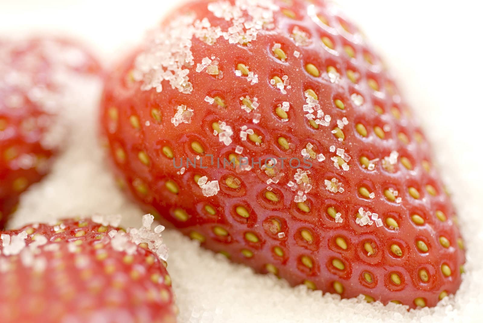 sugar strawberries by stockarch
