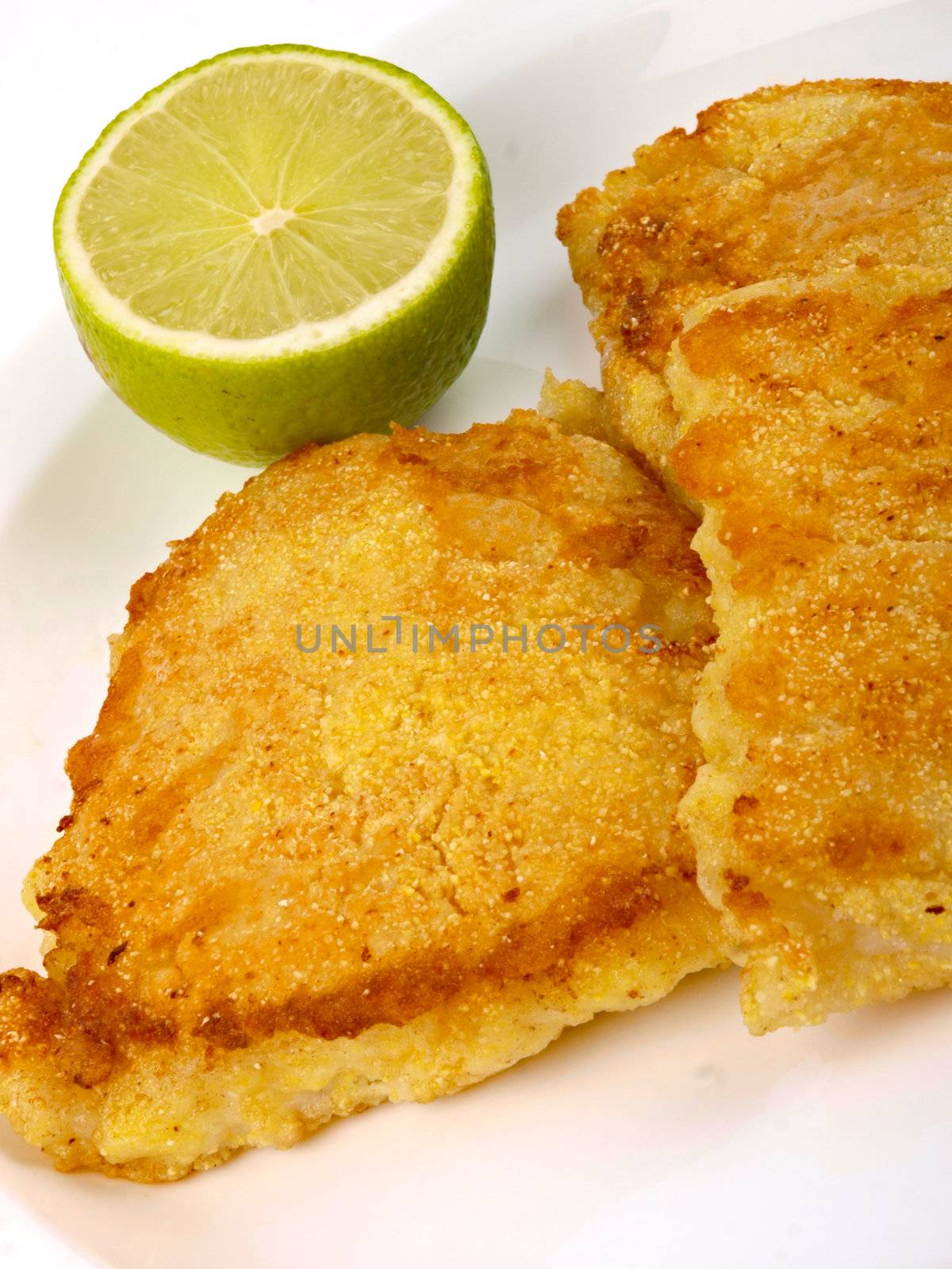 Fish Filet with lemon. Close up on white background