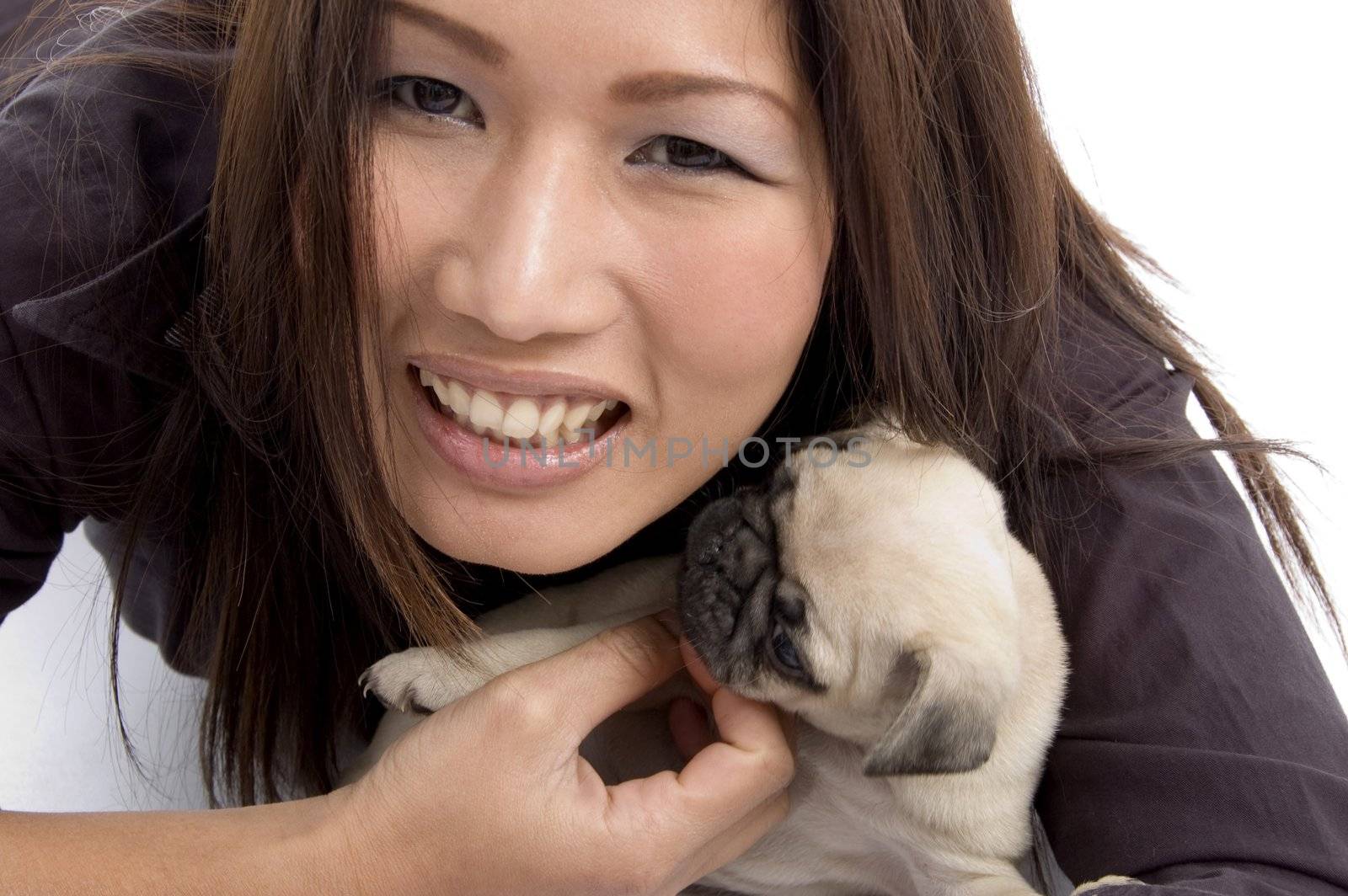 portrait of female with little puppy on an isolated background