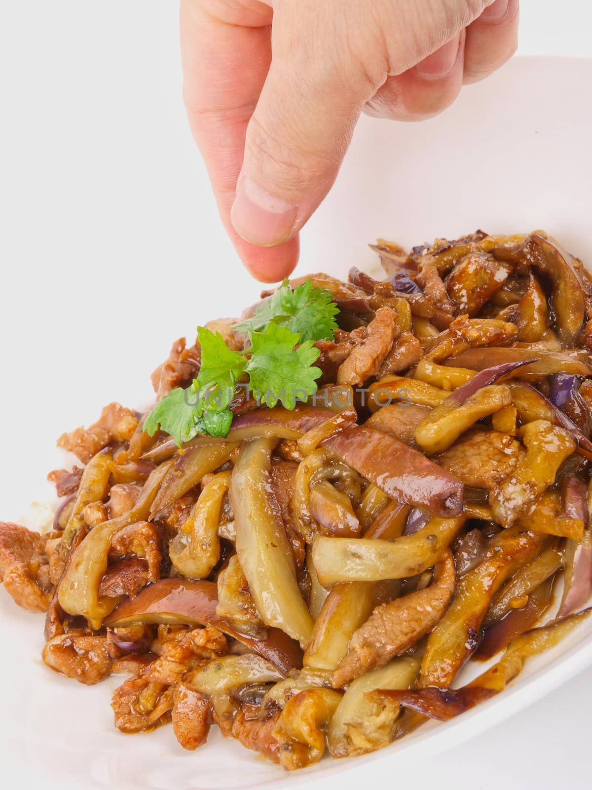 Chinese fried eggplant. Close up on white background