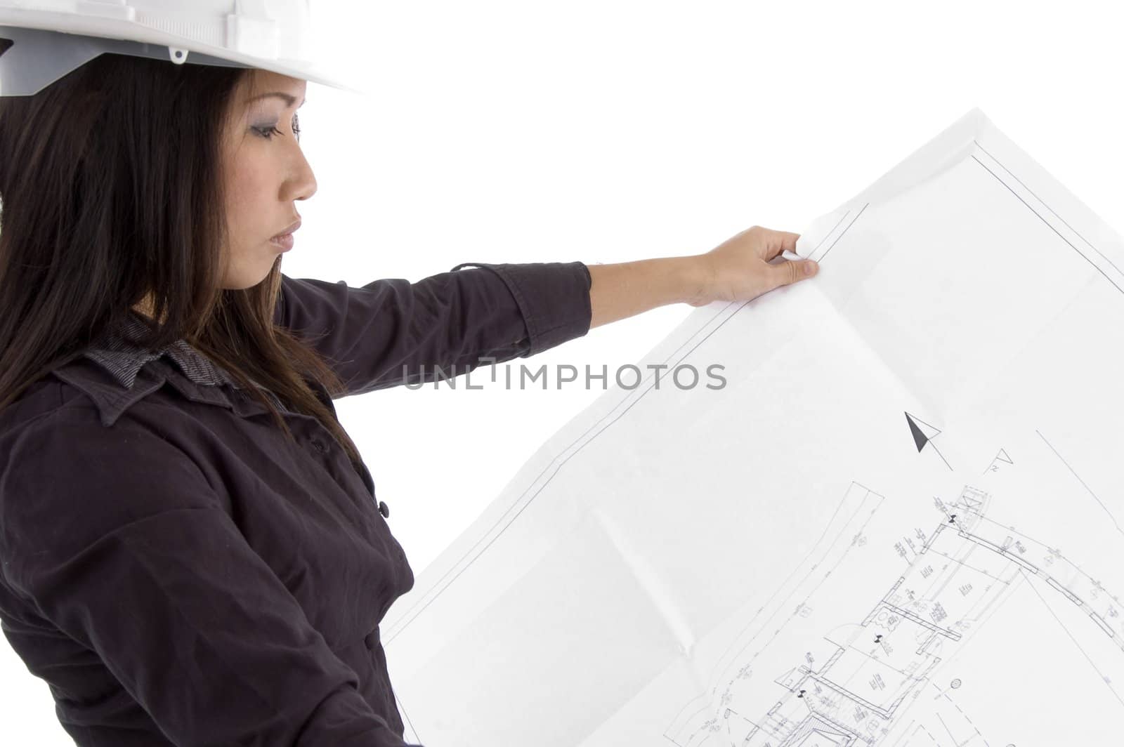 female architect looking at blueprints on an isolated white background