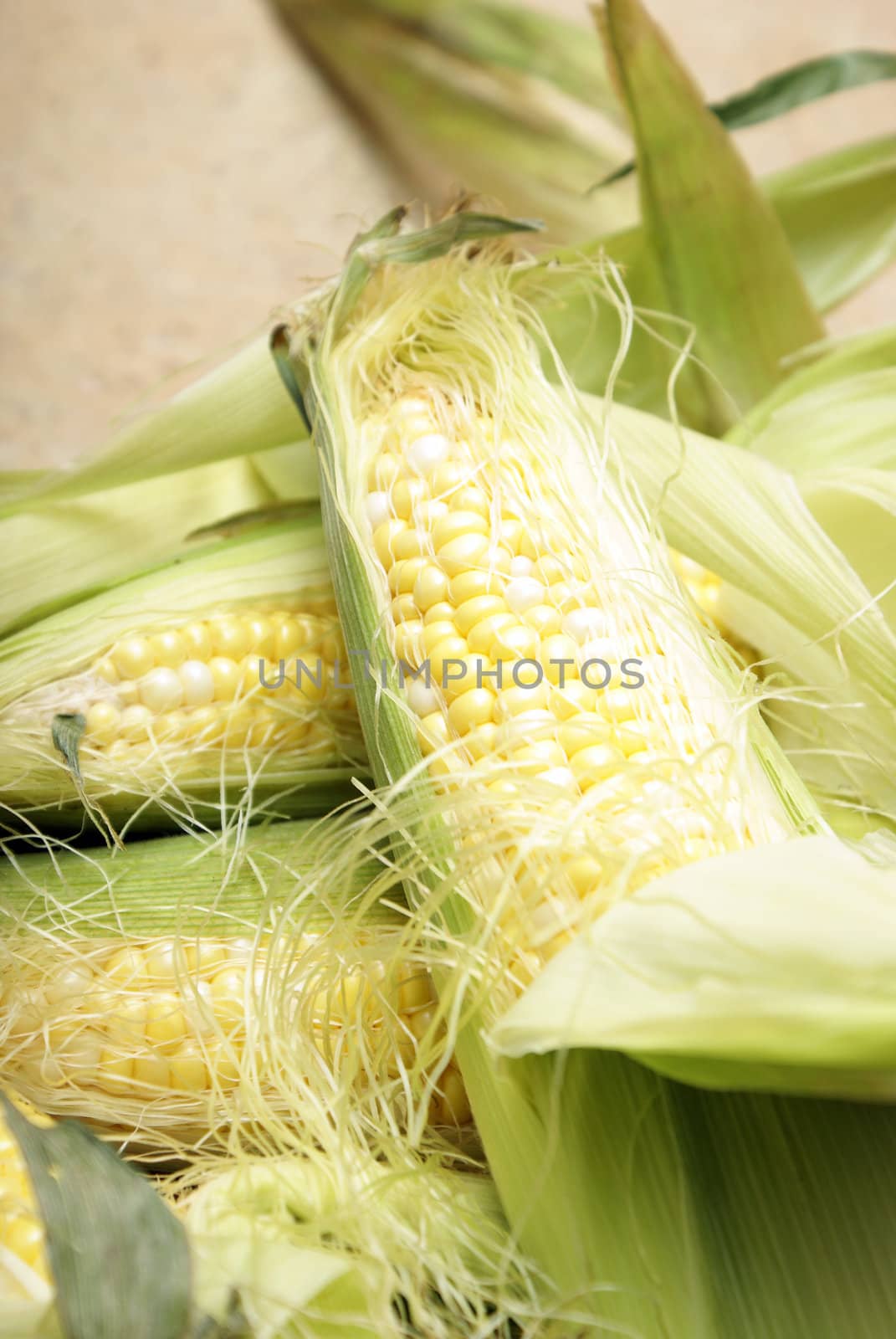 A macro of a few cobs of corn.