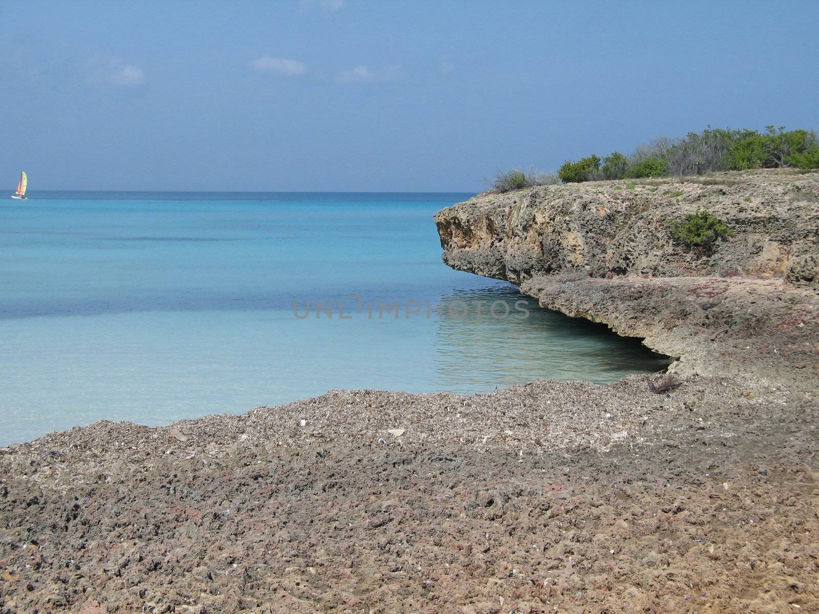 tropical ocean view by mmm