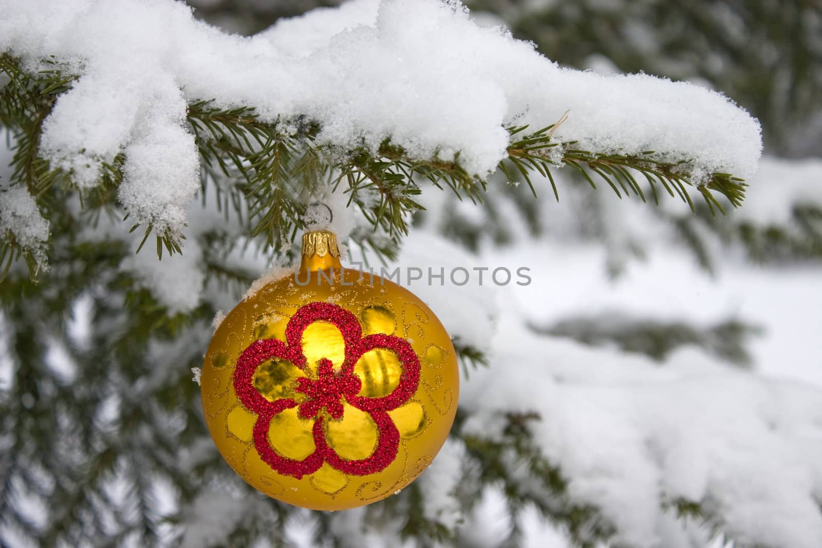 Yellow christmas glass ball hanging on the tree in snow.