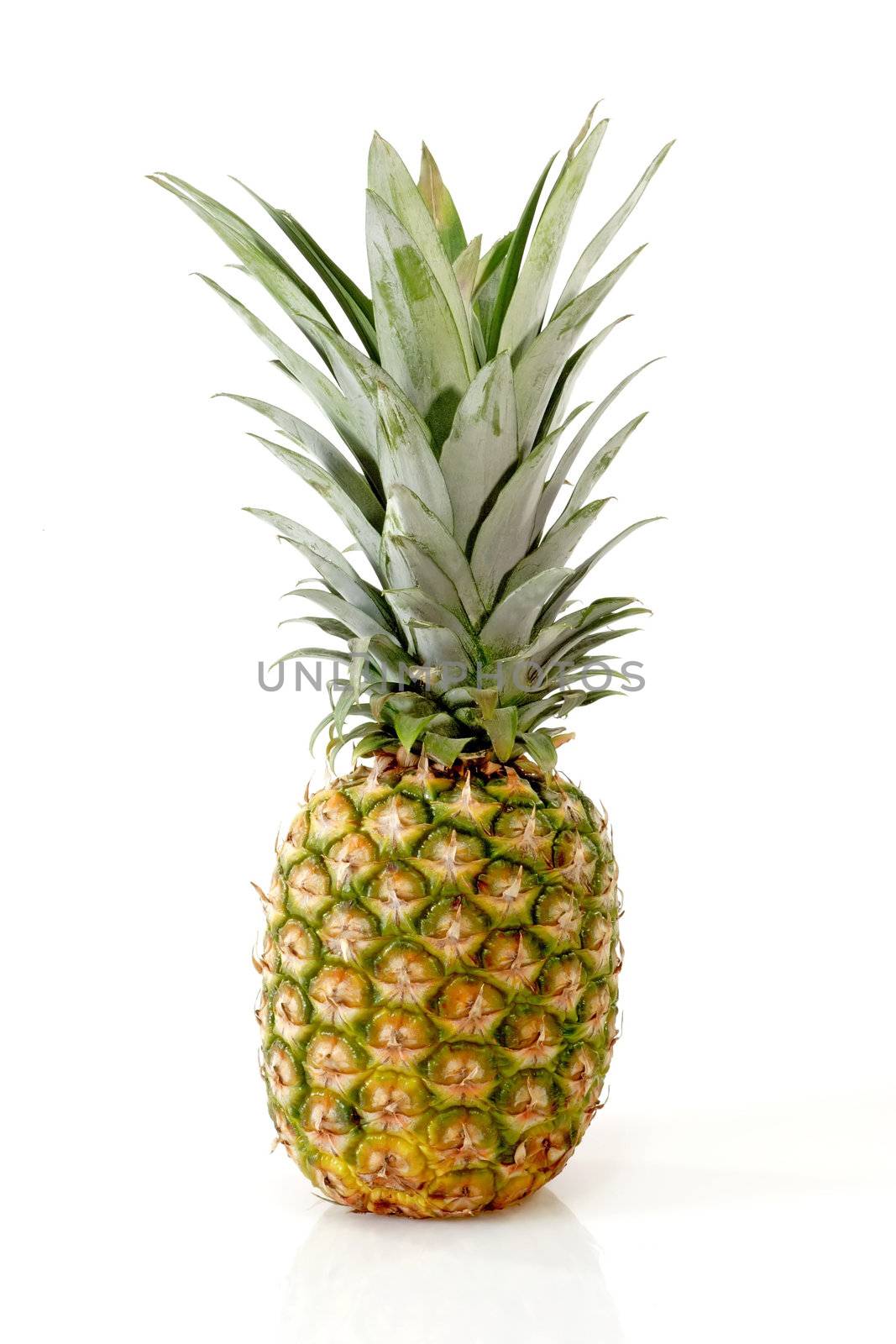 Pineapple by Teamarbeit