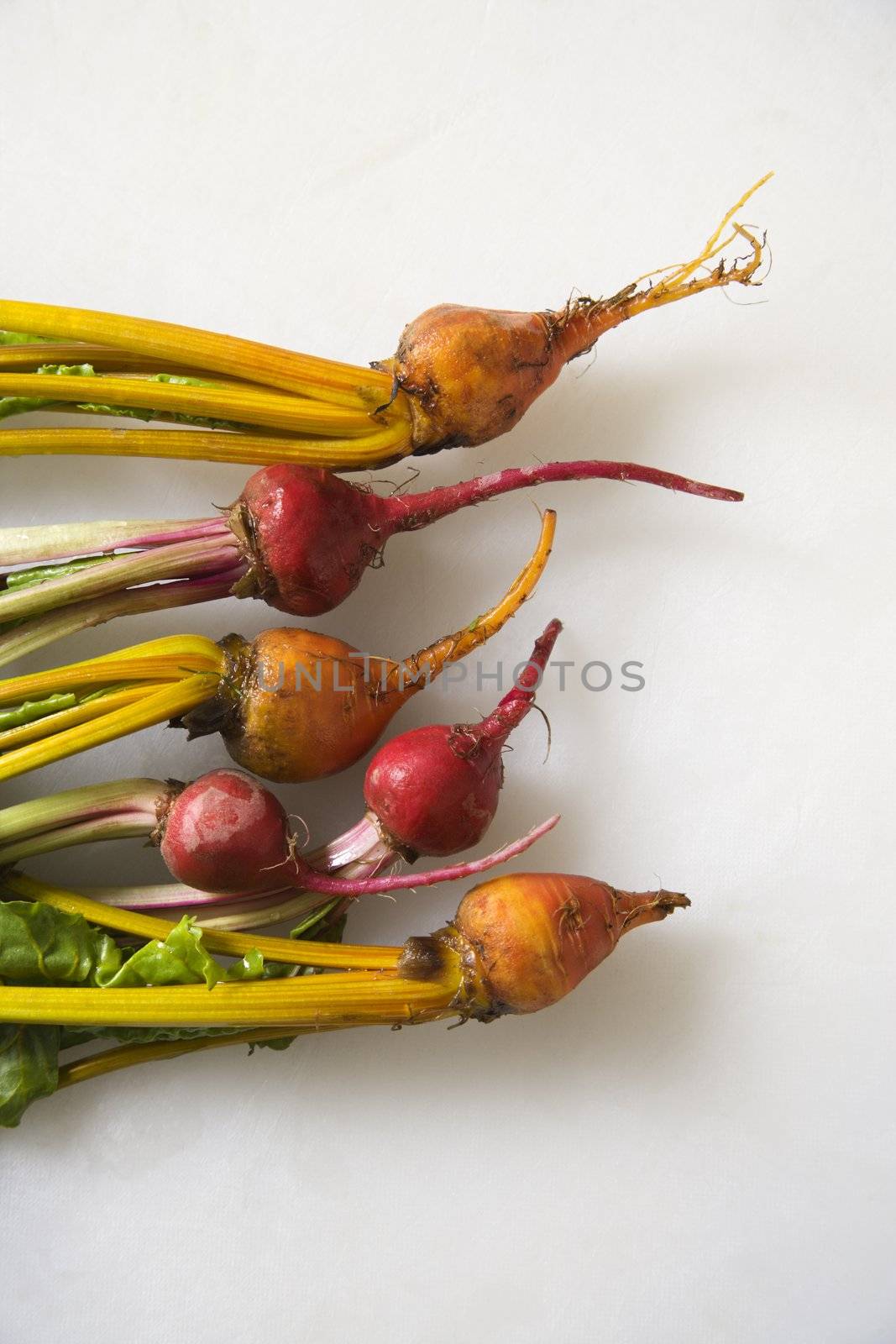 Beets with greens. by iofoto