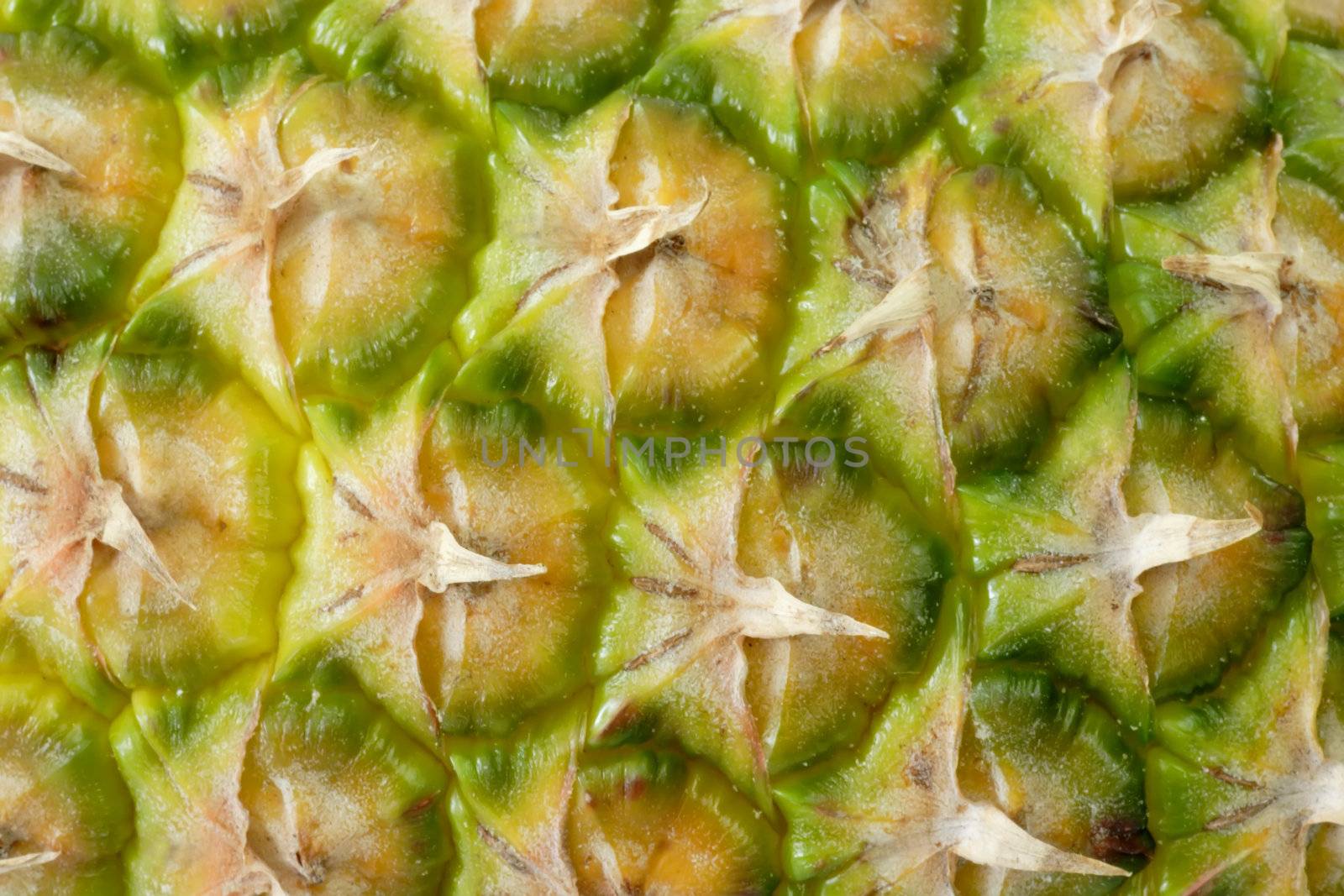 Close up of a pineapple peel.