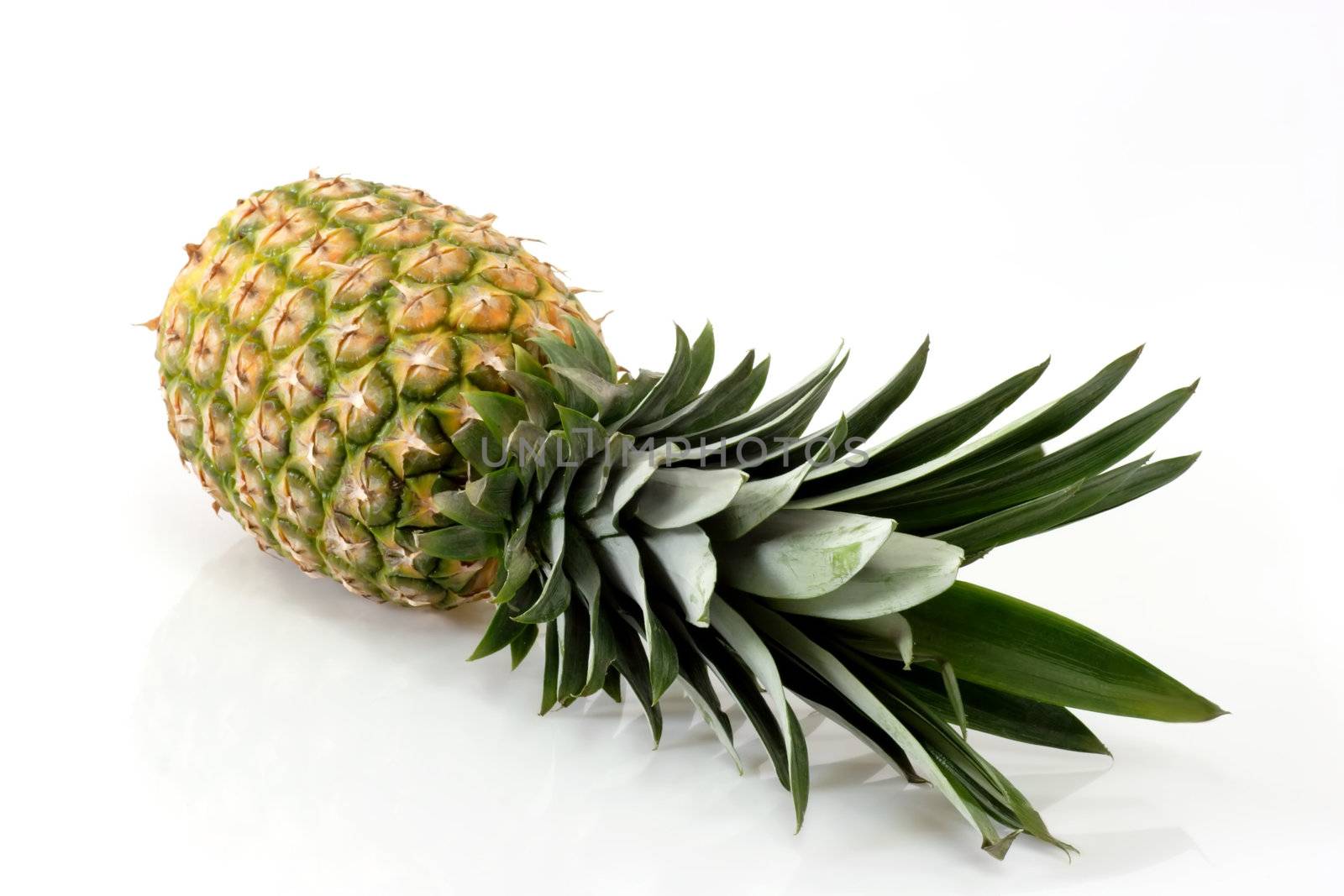 Close up of a fresh pineapple on bright background