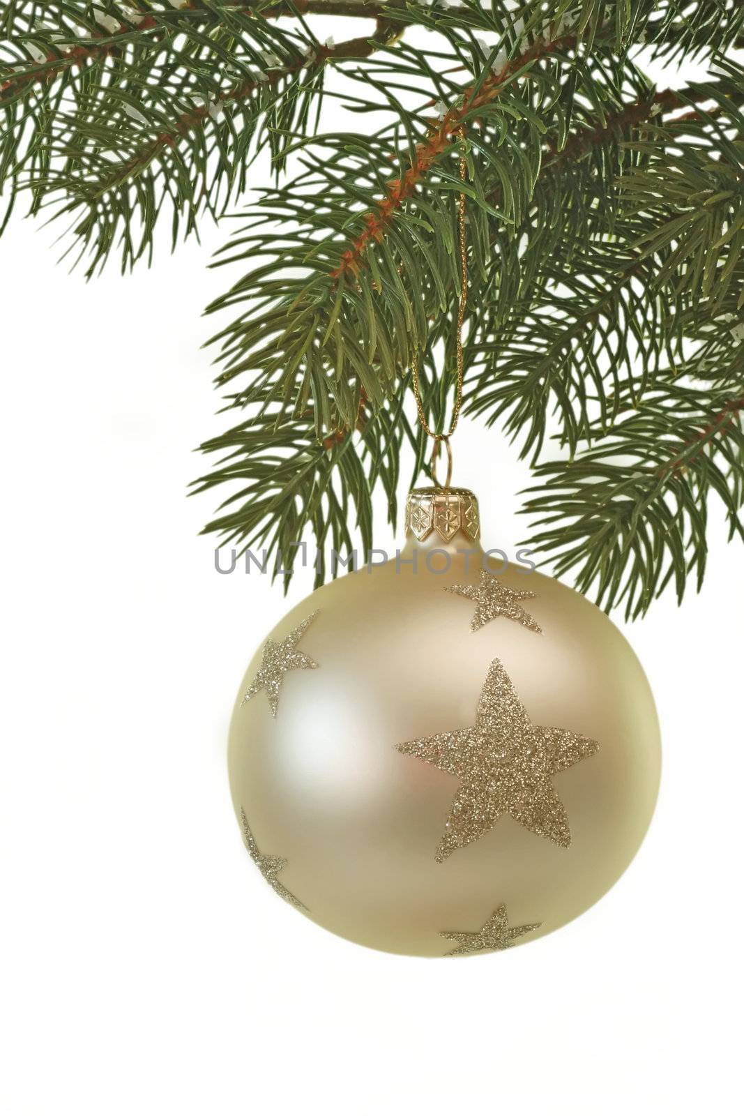 White christmas glitter ball hanging on a fir branch
