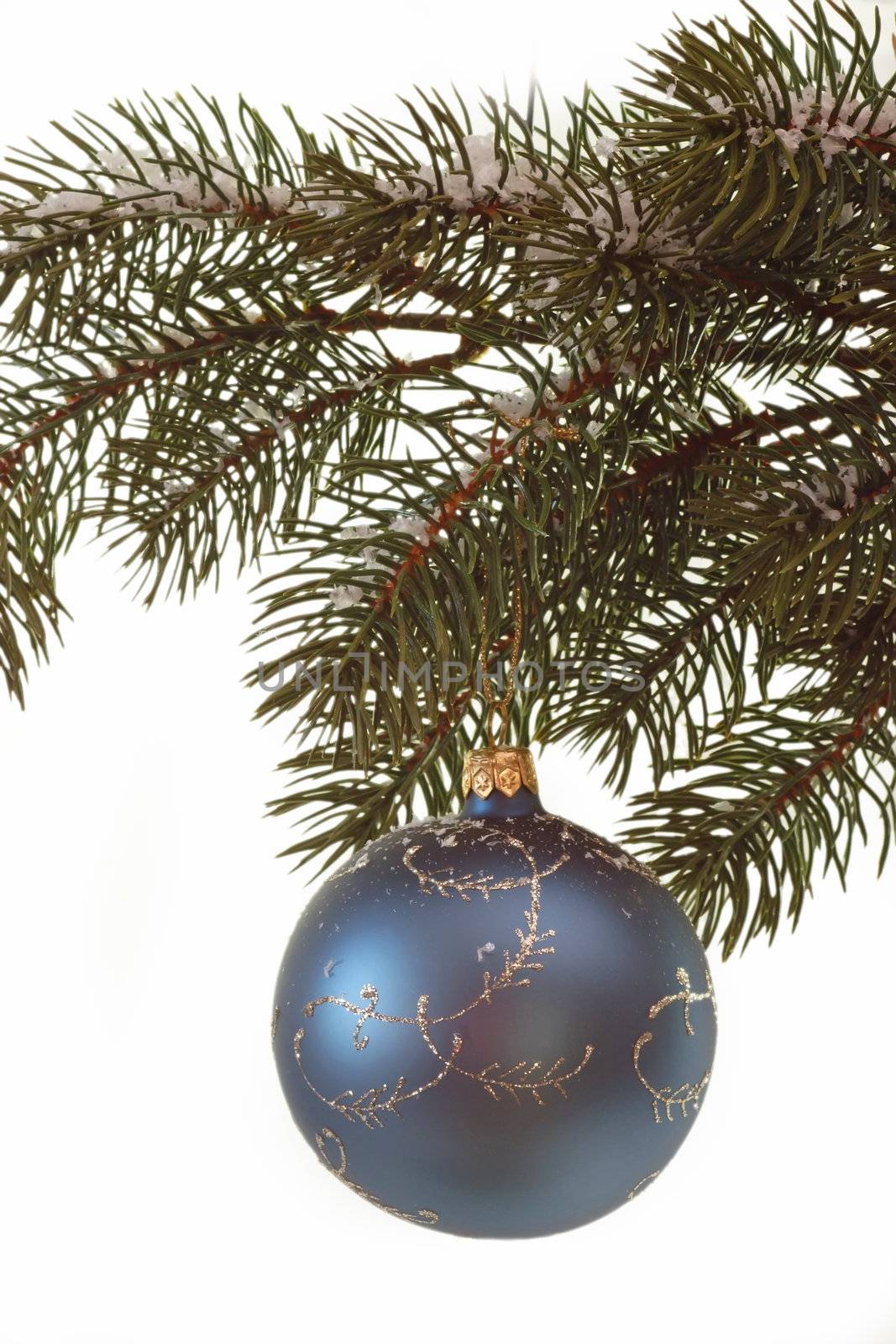 Blue christmas glitter ball hanging on a fir branch