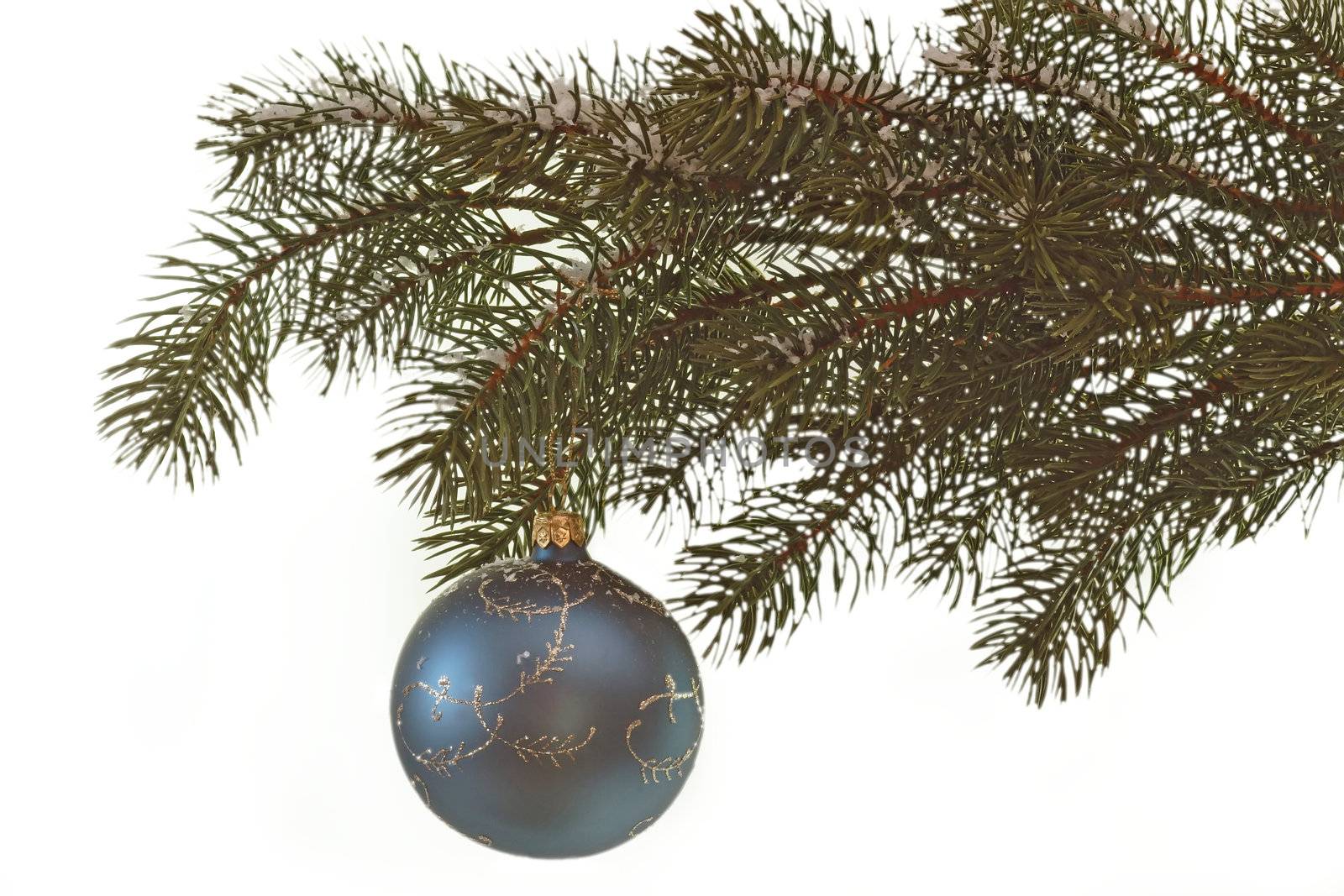 Blue christmas glitter ball hanging on a fir branch