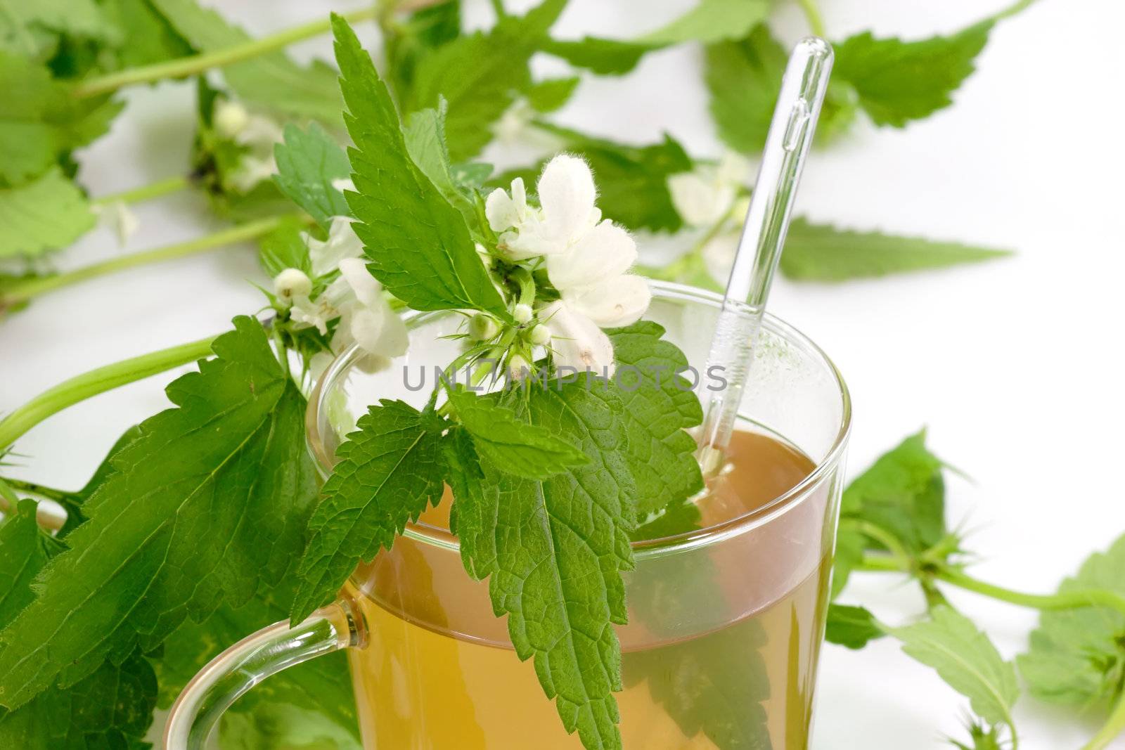 Close up of a stinging nettle tea on bright background