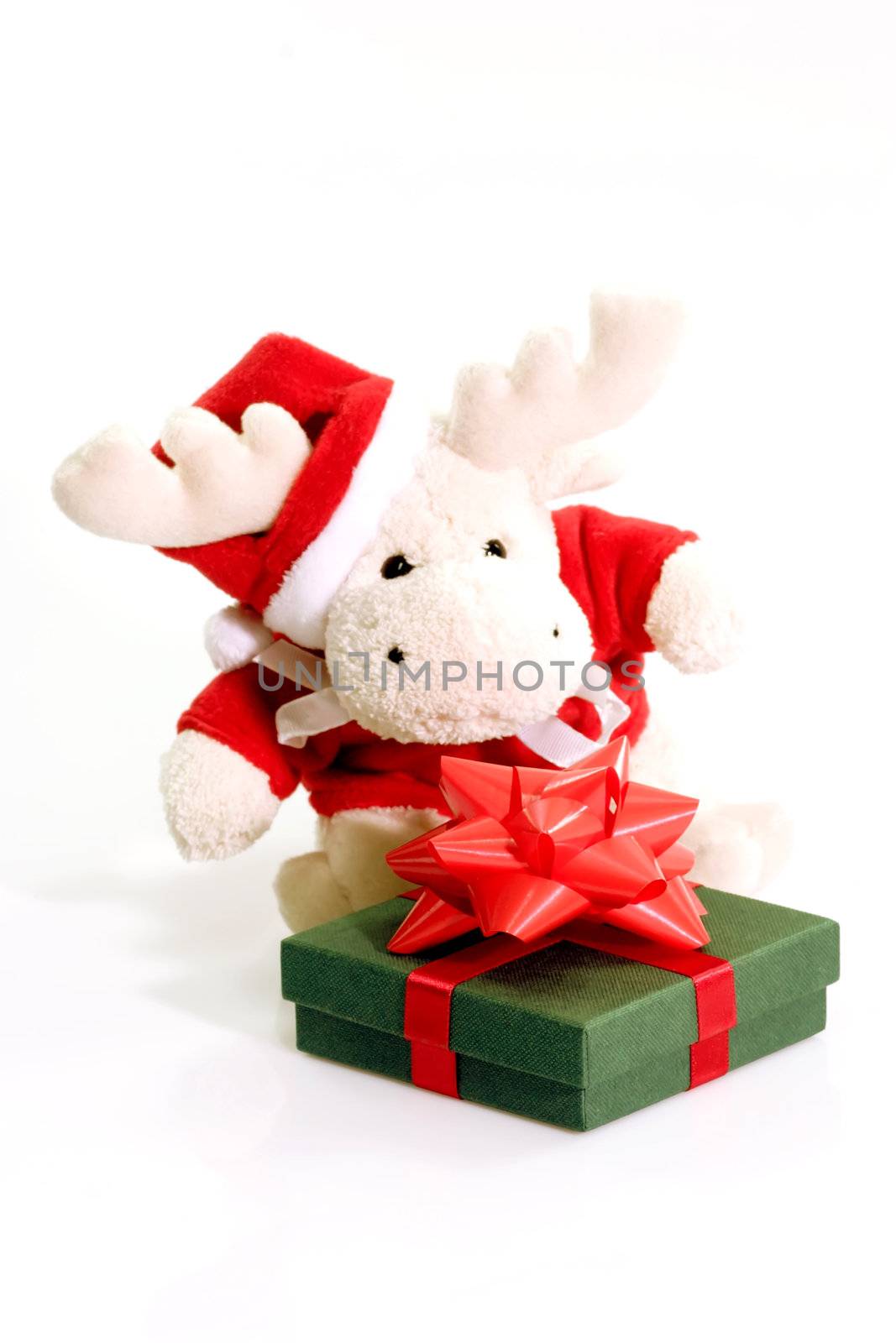 Close up of a plush moose with gift on bright background