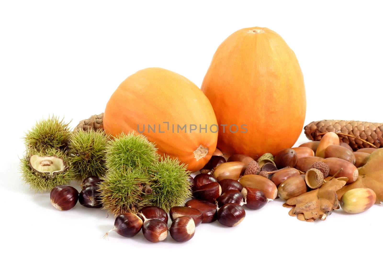 Autumnal decoration of fruits on bright background