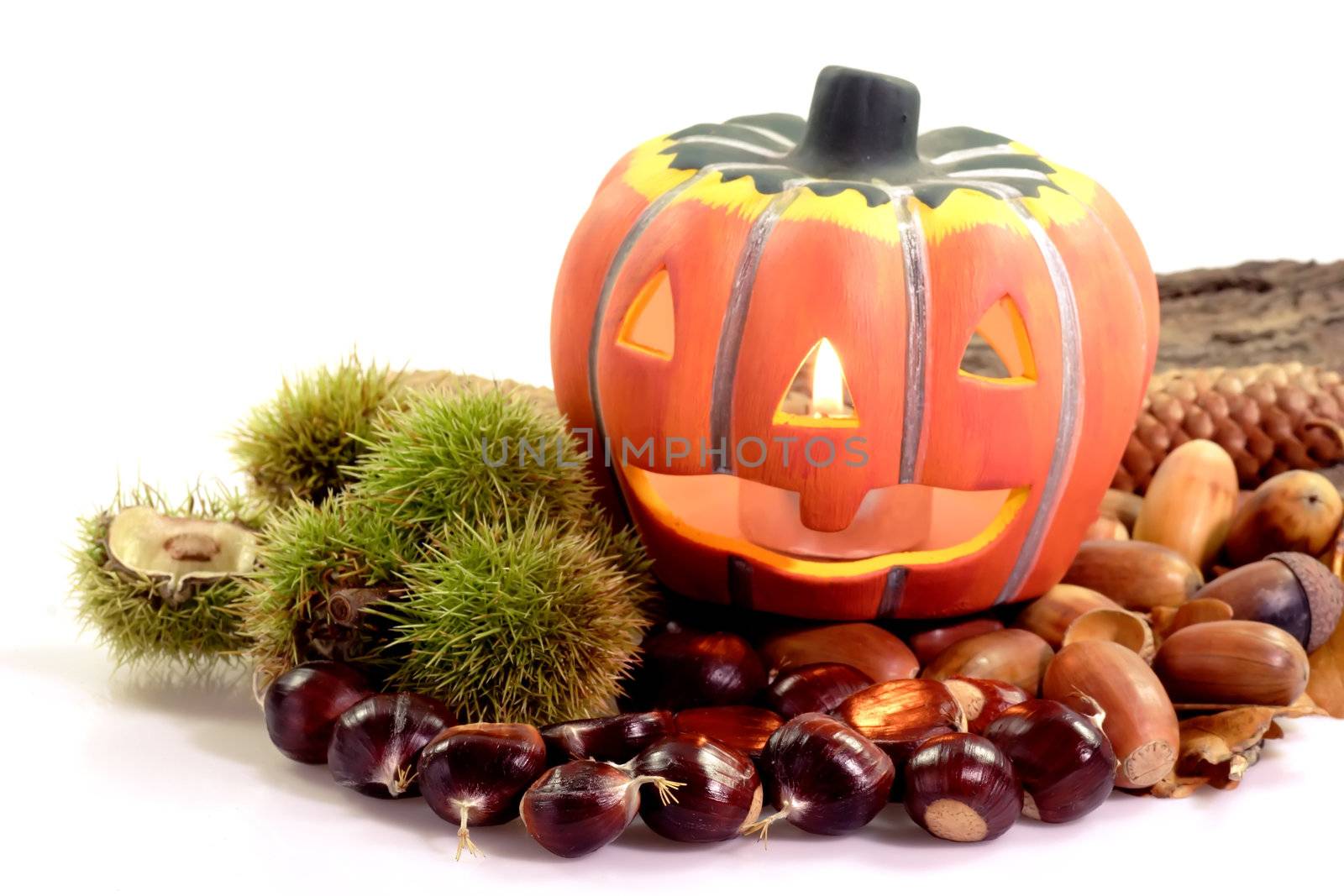 Halloween pumpkin with candle and decoration on bright background