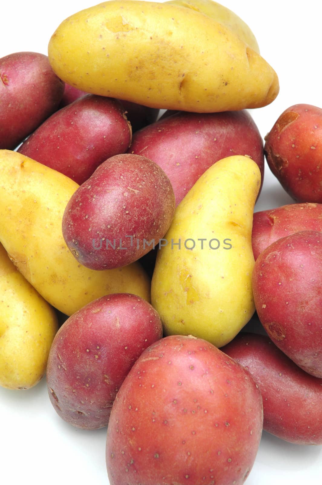 Red and white Fingerling Potatoes on a light backgroung