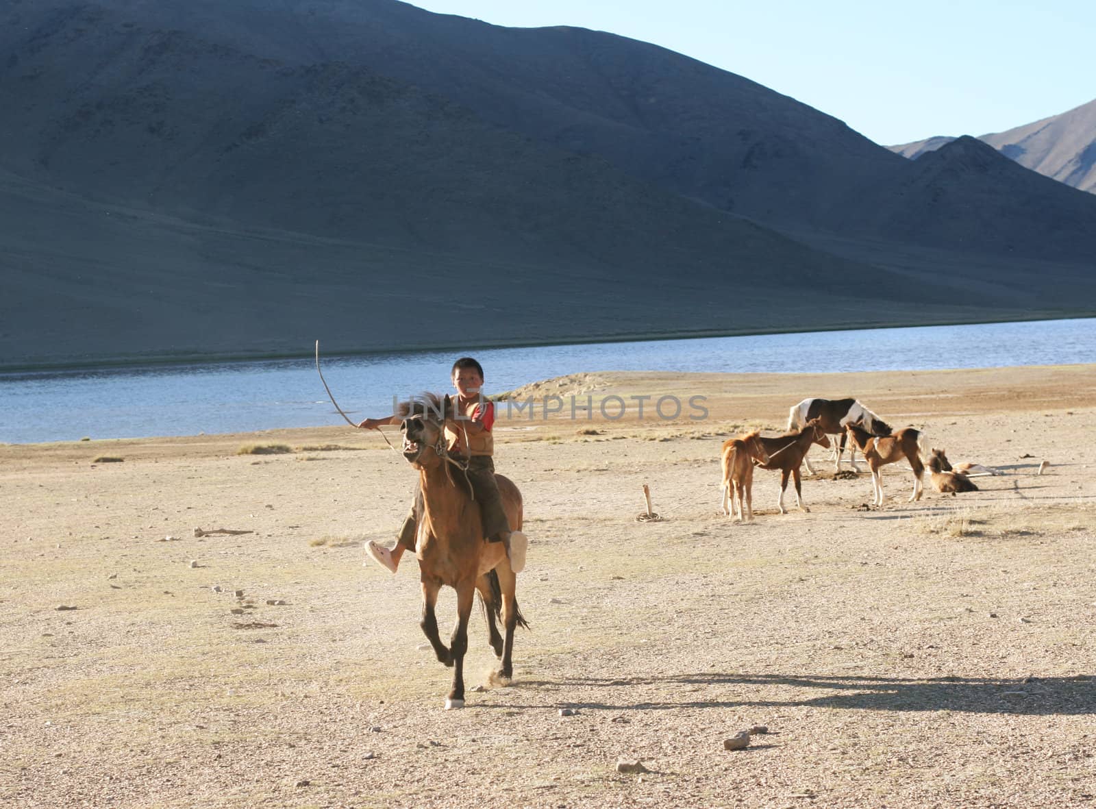 Mongolian boy racing on a horse- August 06, 2008. Mongolia